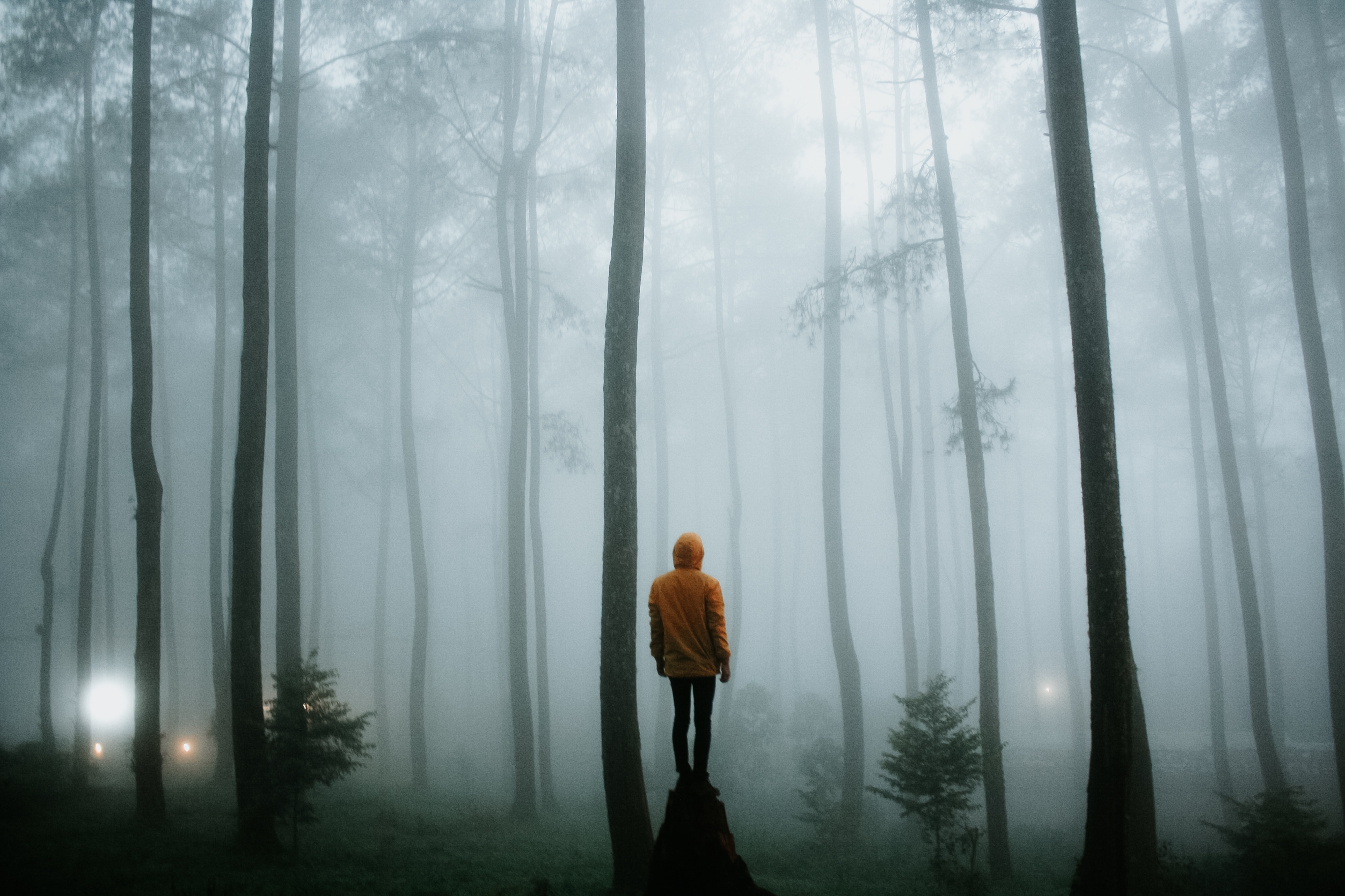Free download wallpaper Trees, Fog, Nature, Forest, Human, Person, Loneliness on your PC desktop