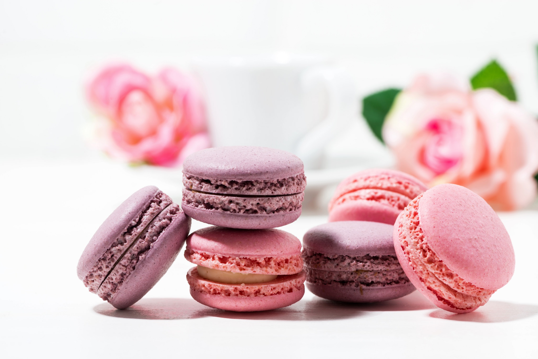 Free download wallpaper Food, Sweets, Macaron on your PC desktop