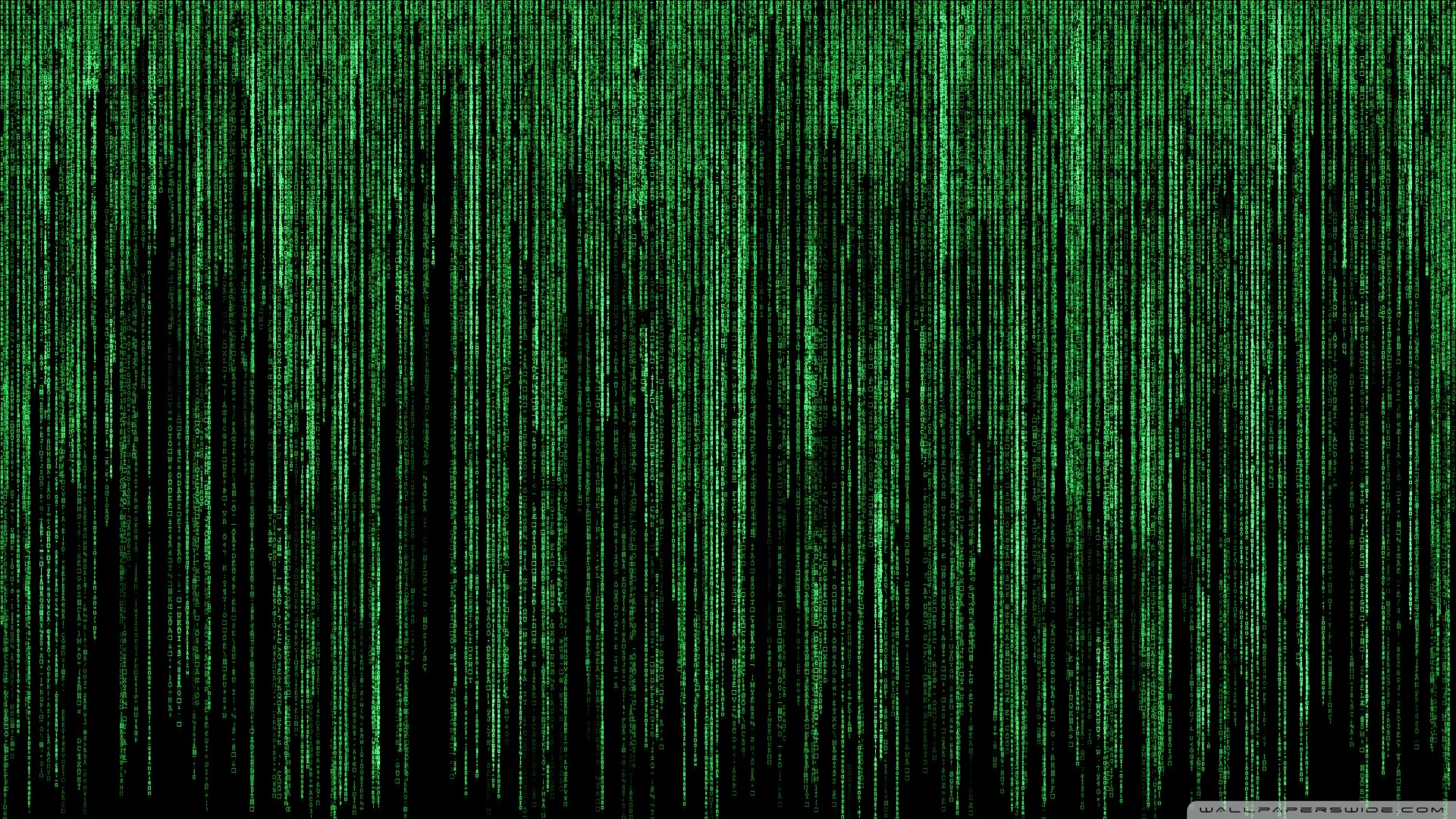 Популярные заставки и фоны Матрица (Matrix) на компьютер