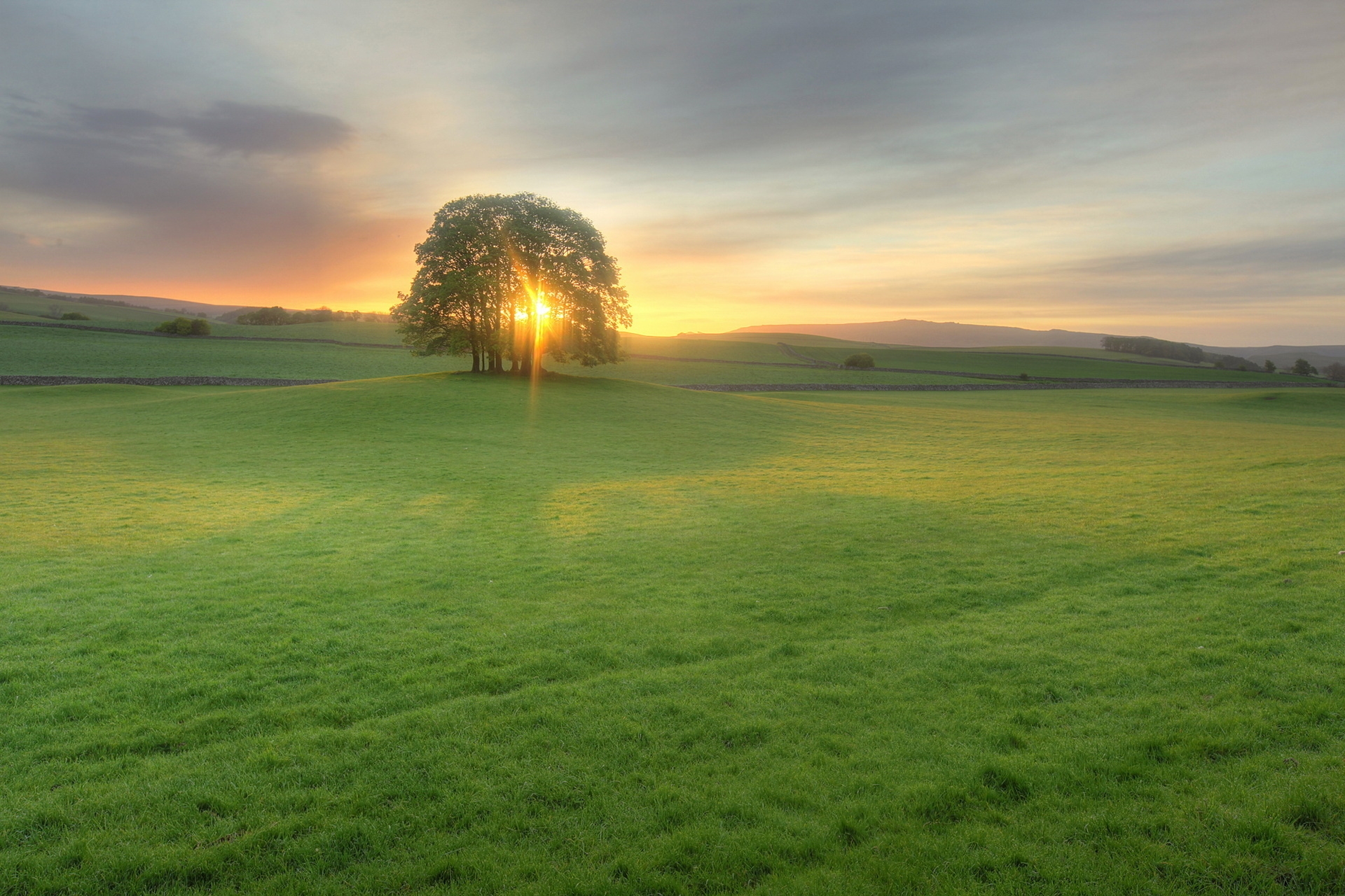 nature, meadow, trees, sunset, sun, green, shine, light, evening, open spaces, expanse