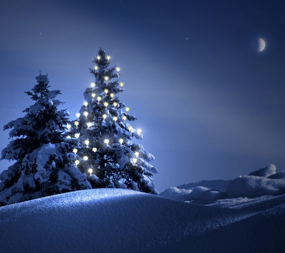 Скачать картинку Зима, Снег, Рождество, Рождественская Елка, Праздничные в телефон бесплатно.