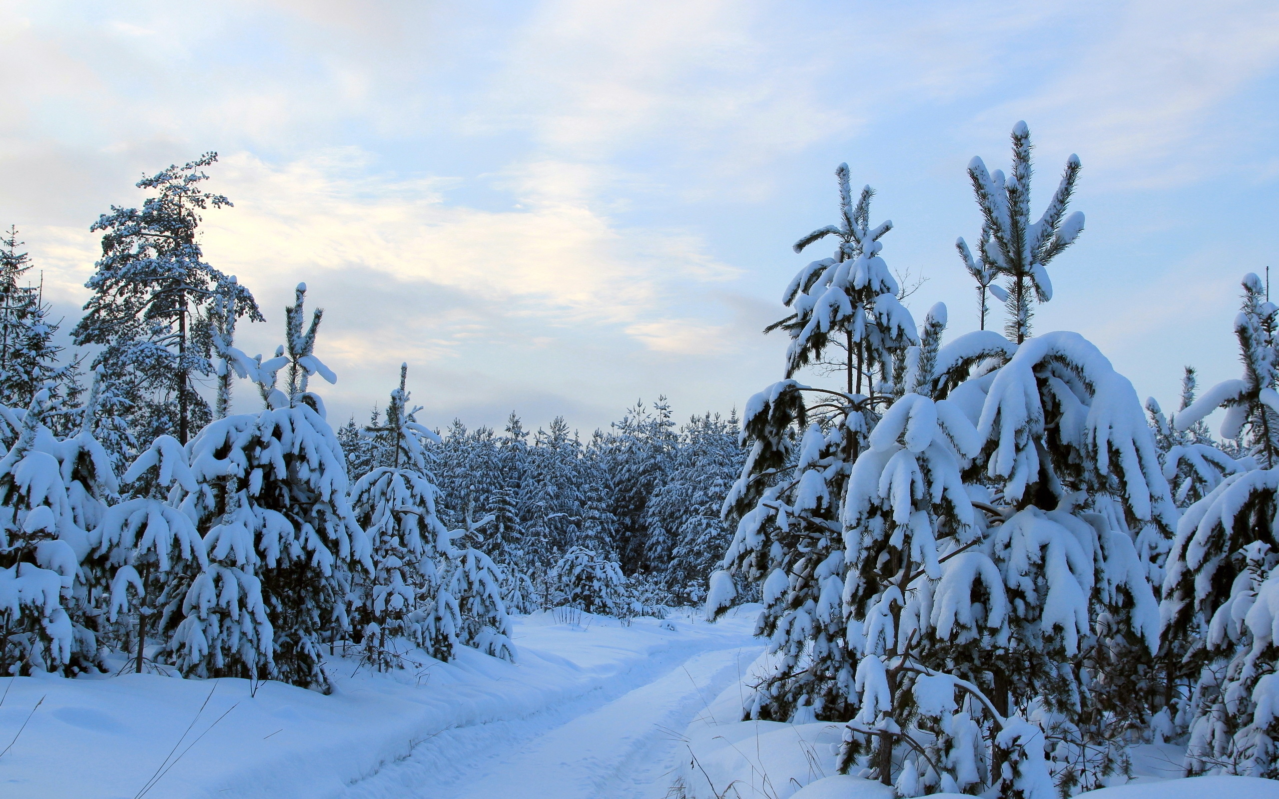 Téléchargez des papiers peints mobile Hiver, Terre/nature gratuitement.