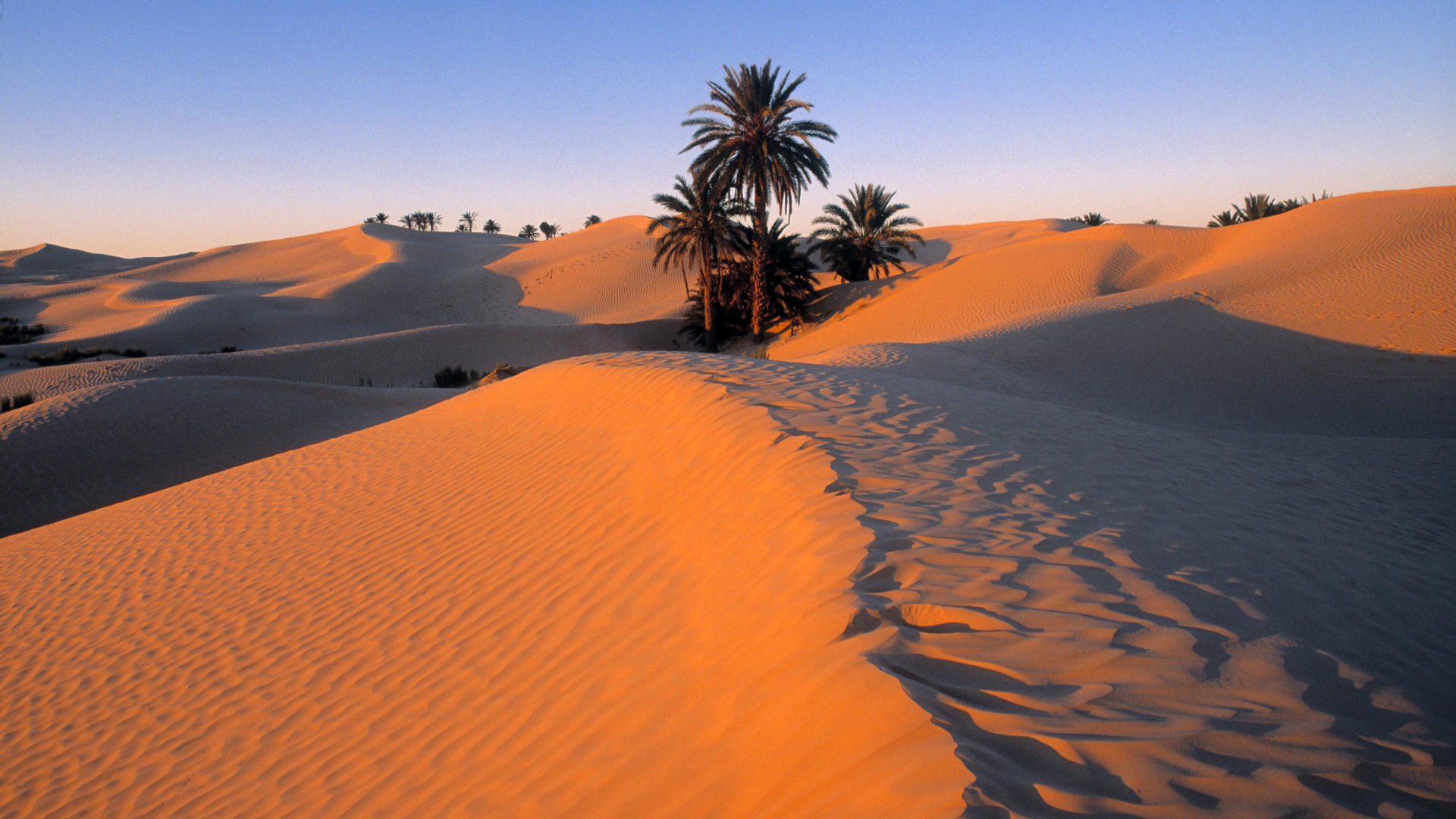 Descarga gratuita de fondo de pantalla para móvil de Postre, Desierto, Tierra/naturaleza.