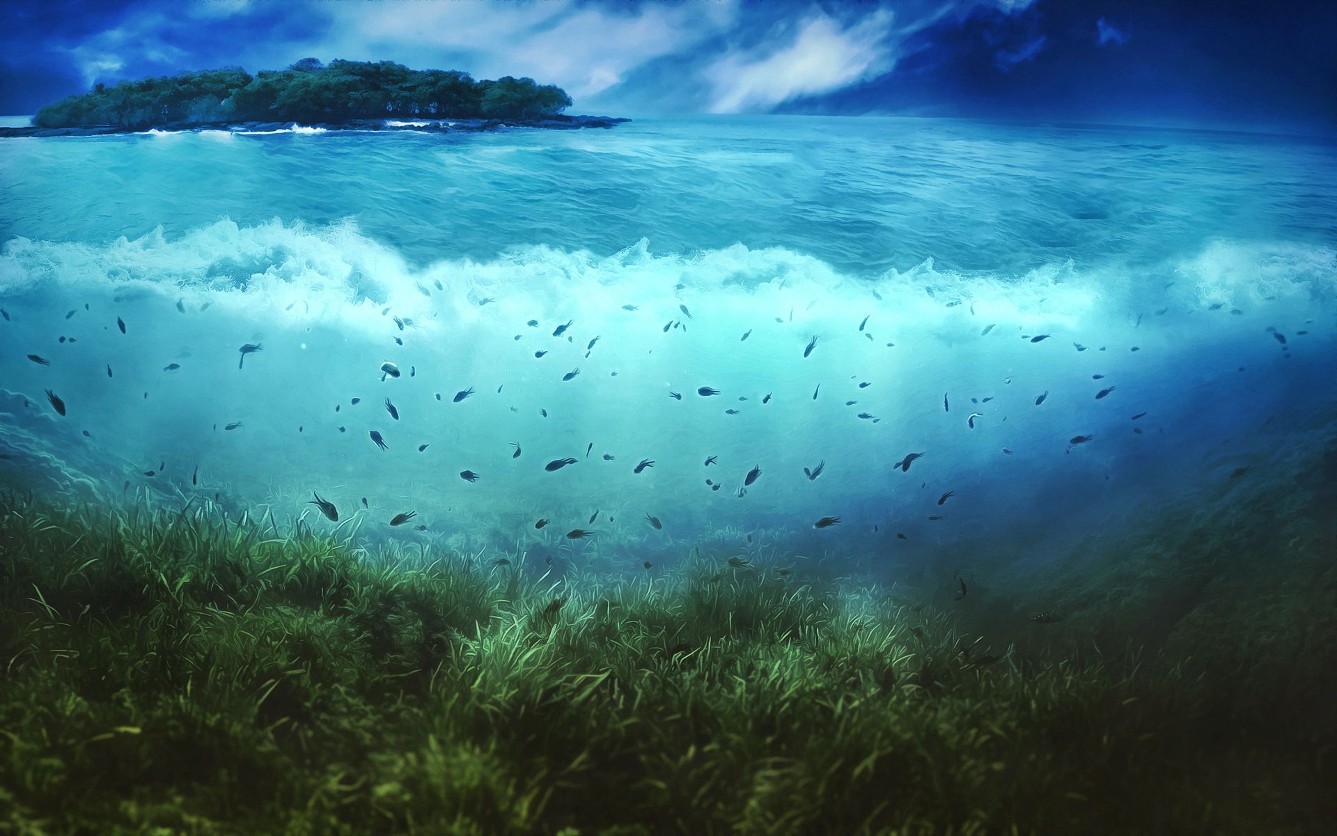 99175 descargar imagen agua, fondo, naturaleza, arte, mar, peces, vegetación, isla, mundo submarino: fondos de pantalla y protectores de pantalla gratis