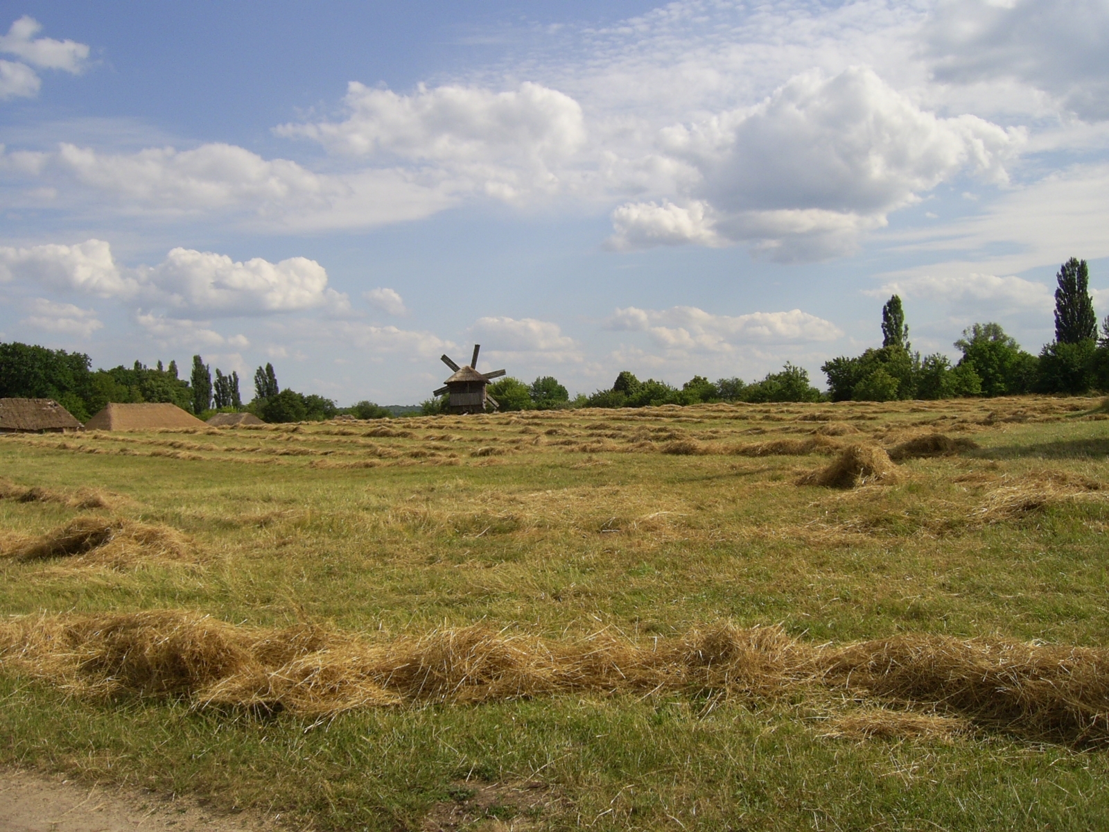 Handy-Wallpaper Grass, Sky, Landschaft kostenlos herunterladen.