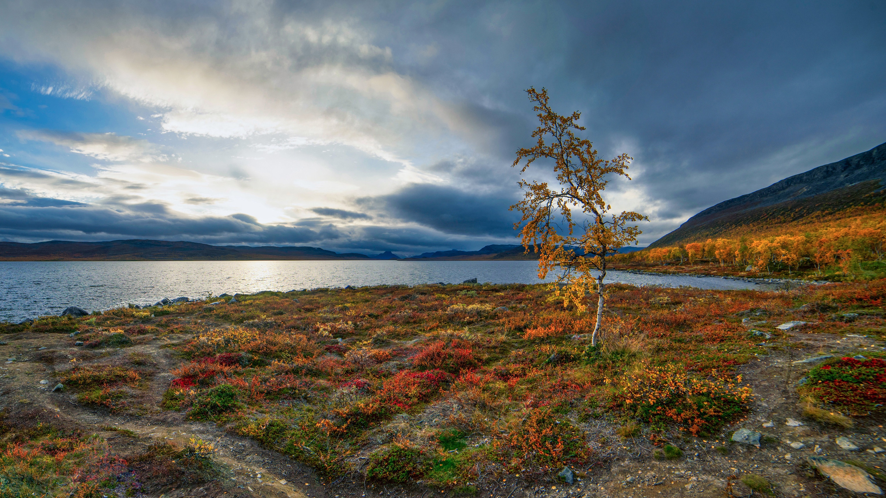 Download mobile wallpaper Lakes, Lake, Tree, Fall, Earth, Birch, Finland, Kilpisjärvi Lake for free.