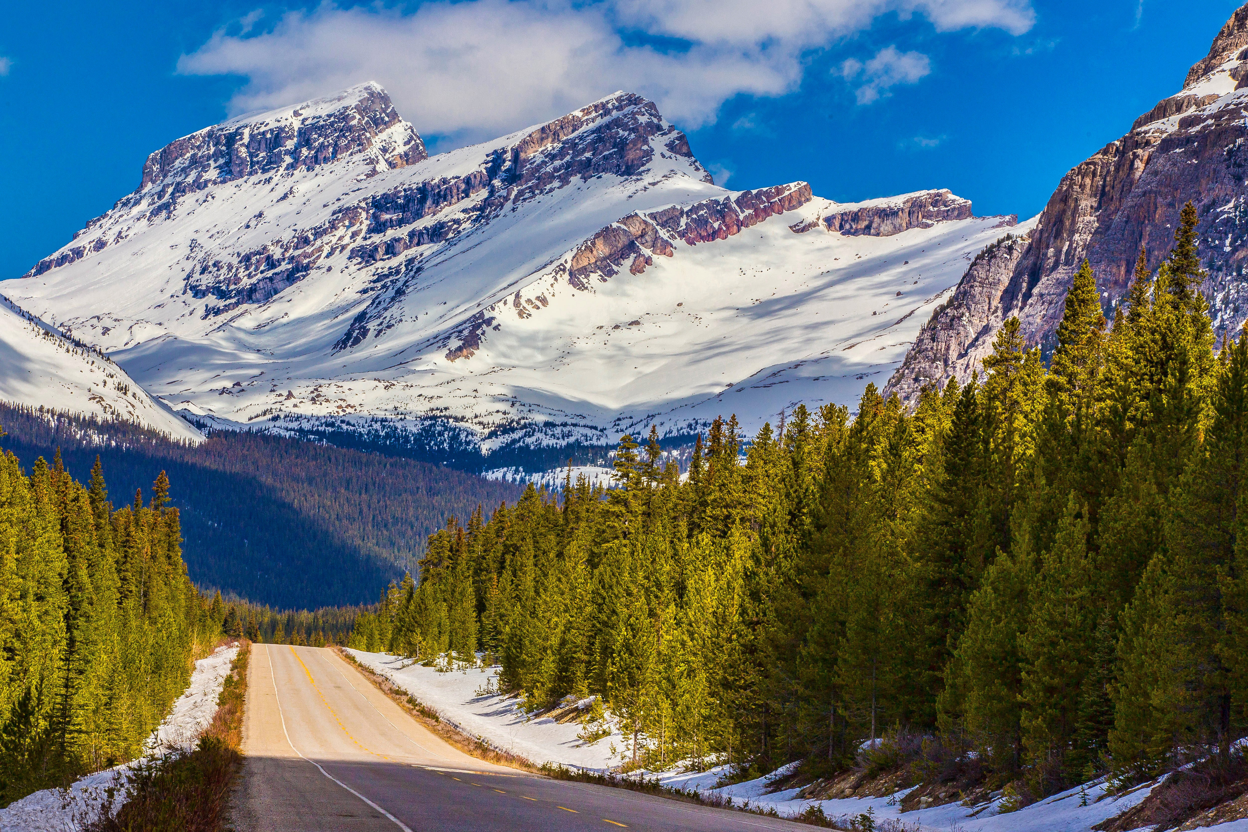 75762 télécharger l'image montagnes, canada, nature, neige, route, dahl, distance, albert, alberta, parc national banff - fonds d'écran et économiseurs d'écran gratuits