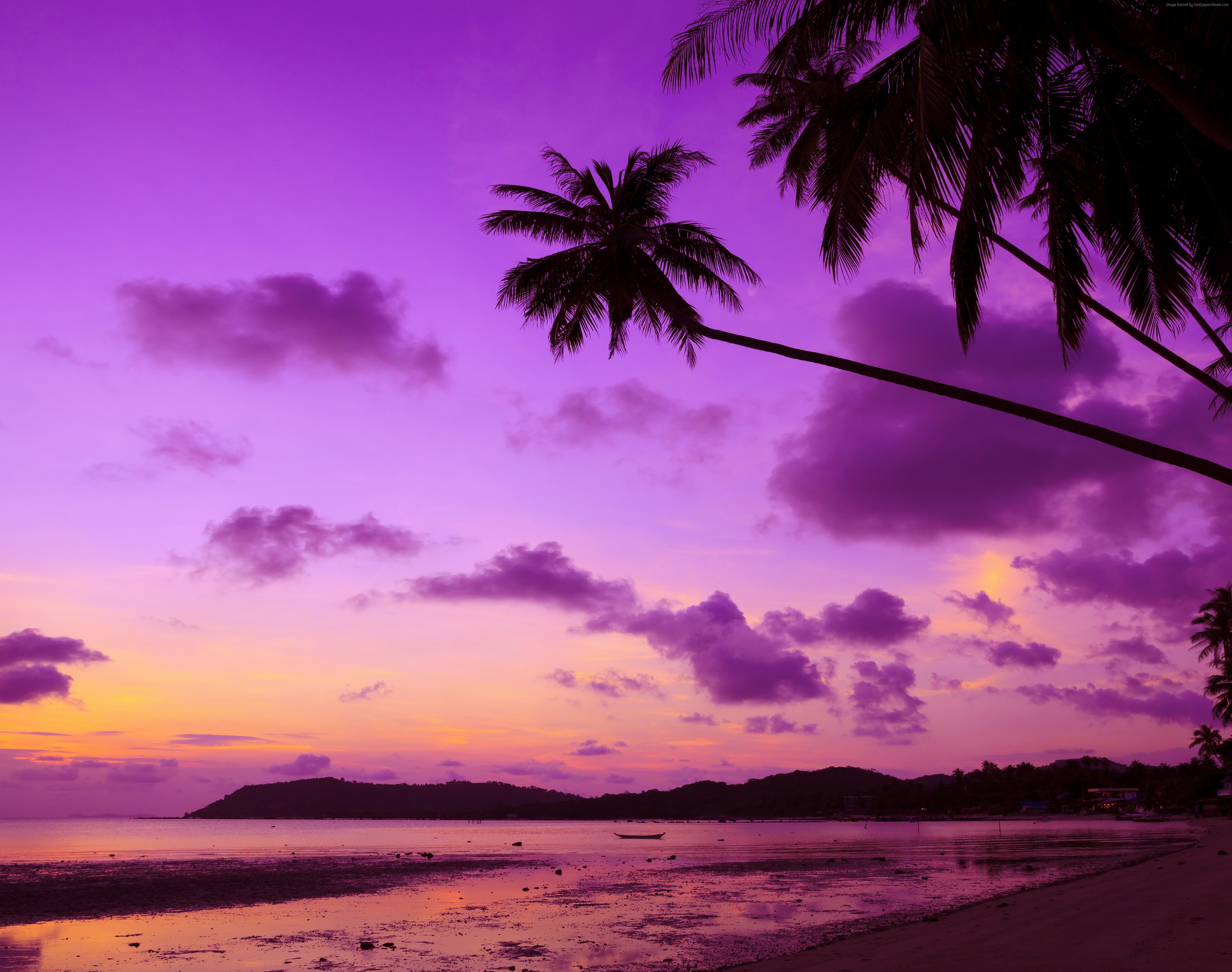 Download mobile wallpaper Nature, Sunset, Sky, Beach, Sand, Purple, Cloud, Photography, Palm Tree for free.