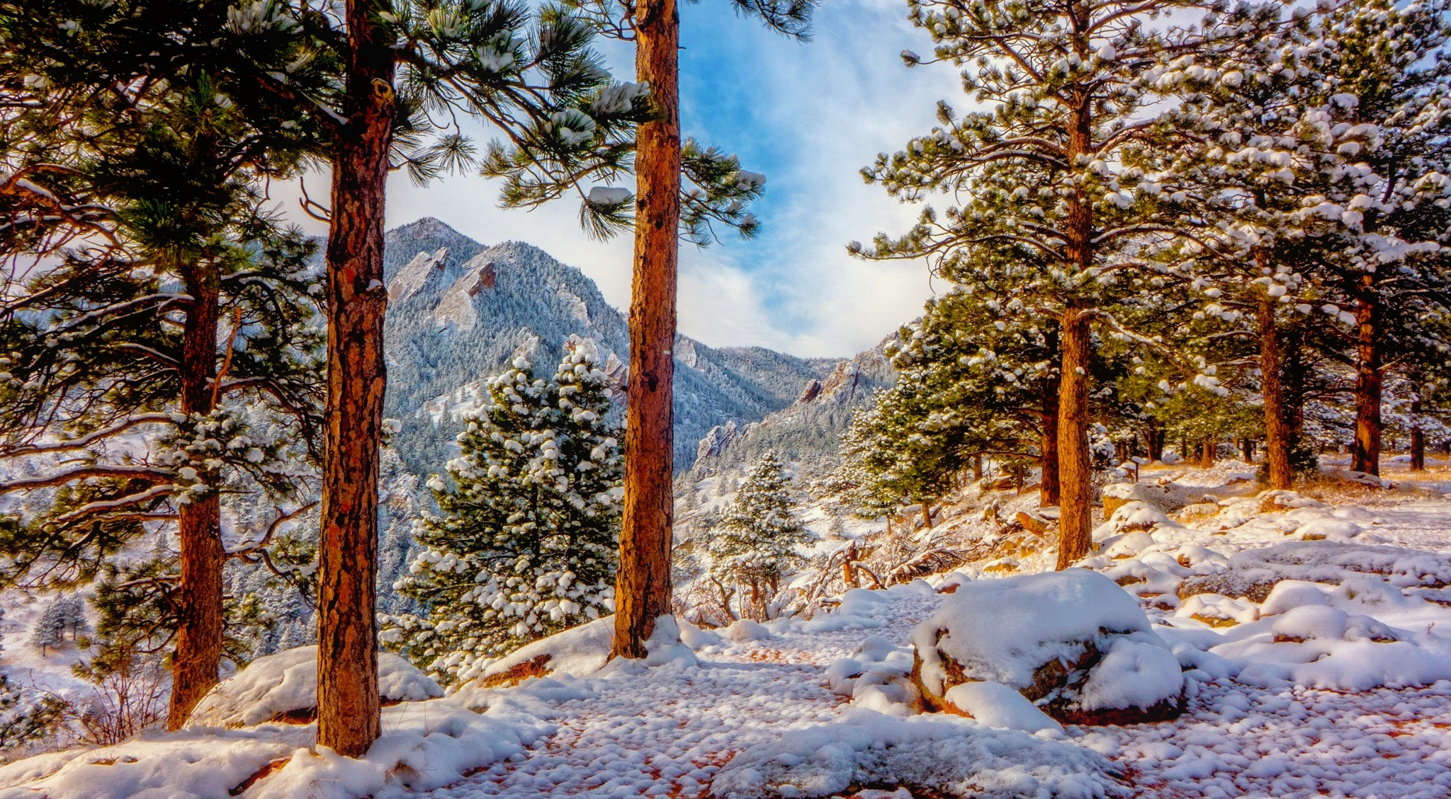 Скачать картинку Зима, Снег, Гора, Лес, Дерево, Земля/природа в телефон бесплатно.