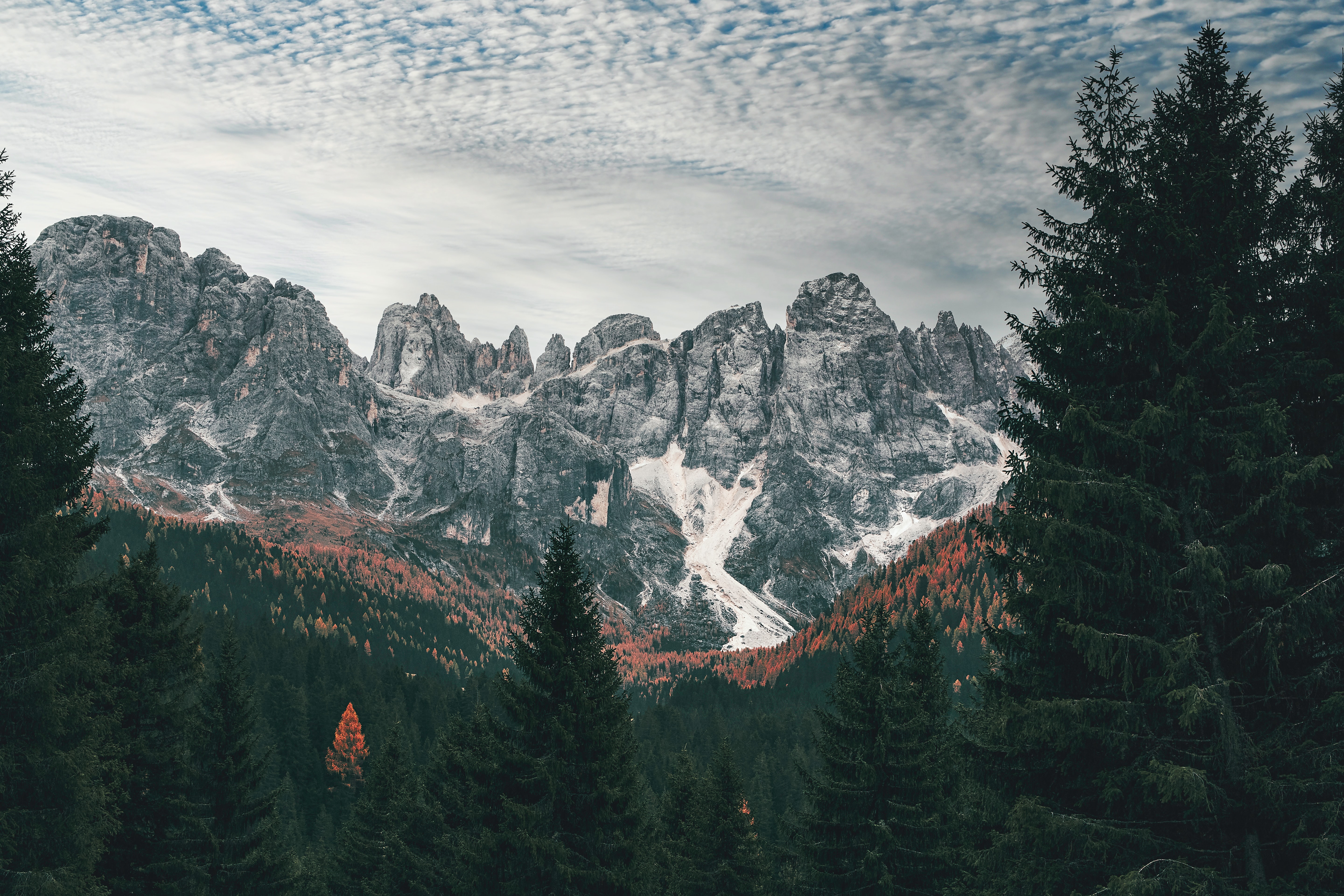 Download mobile wallpaper Mountains, Pine, Mountain, Earth, Dolomites for free.