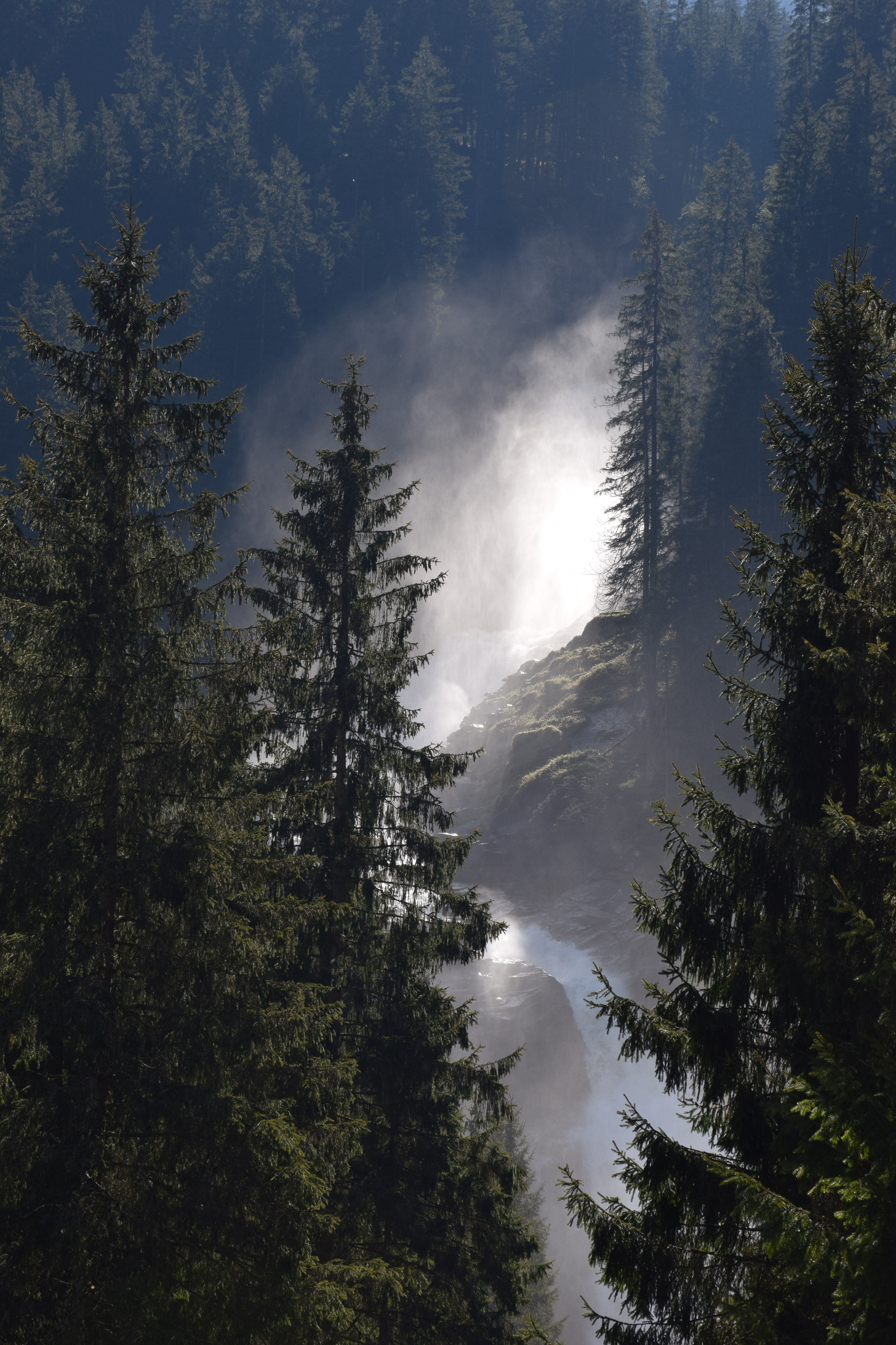 Laden Sie das Bäume, Nebel, Fichte, Fir, Natur, Wald, Flüsse-Bild kostenlos auf Ihren PC-Desktop herunter