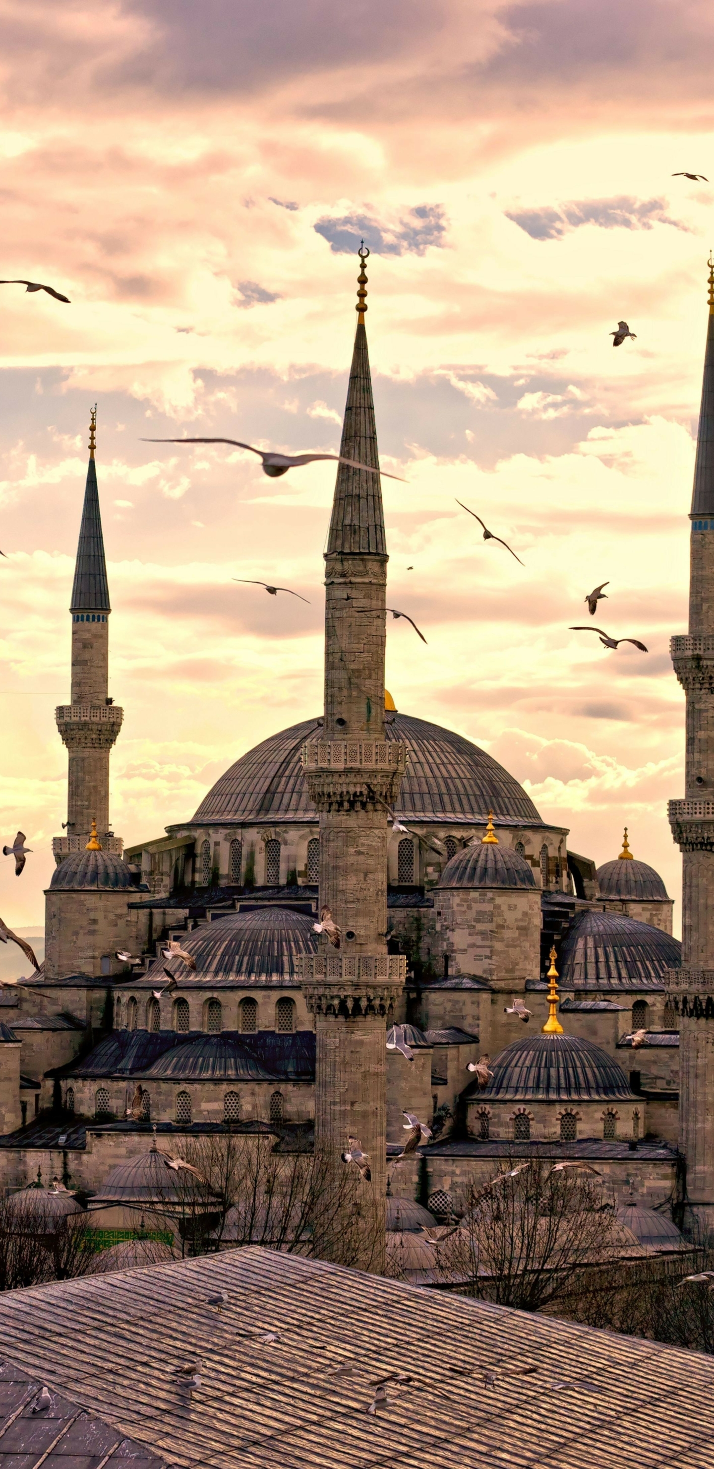 Скачати мобільні шпалери Туреччина, Стамбул, Релігійний, Мечеть Султана Ахмеда, Мечеті безкоштовно.