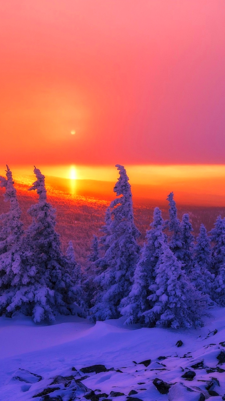 Скачать картинку Пейзаж, Зима, Природа, Небо, Лес, Ландшафт, Земля/природа, Закат Солнца в телефон бесплатно.