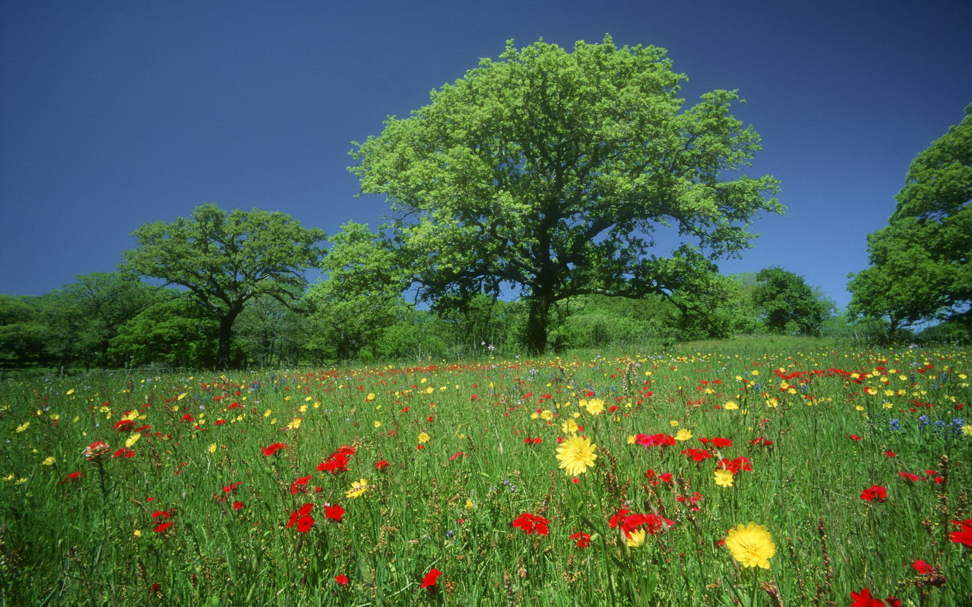 Téléchargez gratuitement l'image Paysage, Terre/nature sur le bureau de votre PC