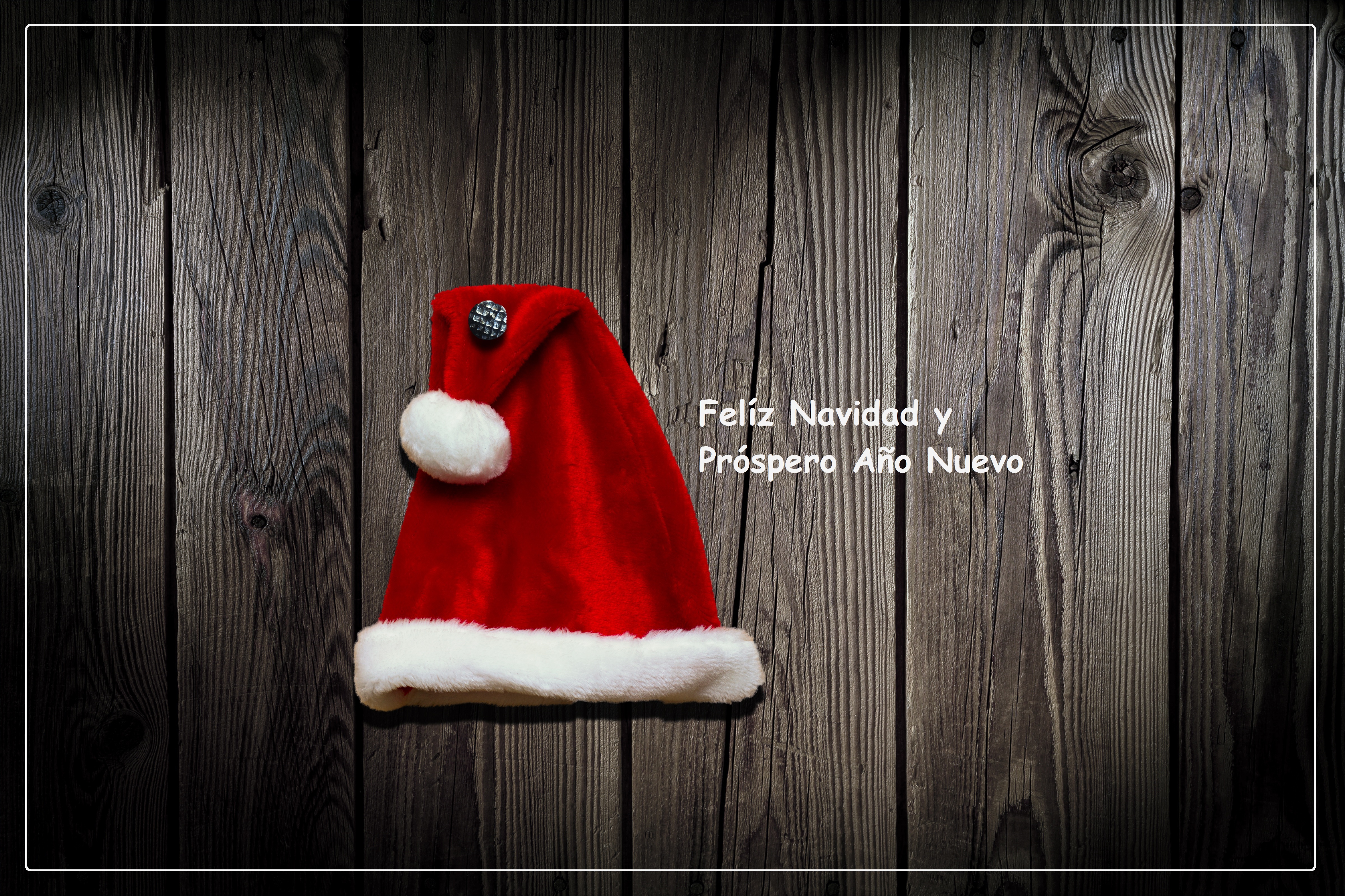 Téléchargez des papiers peints mobile Noël, Bois, Vacances, Chapeau De Père Noël, Joyeux Noël gratuitement.