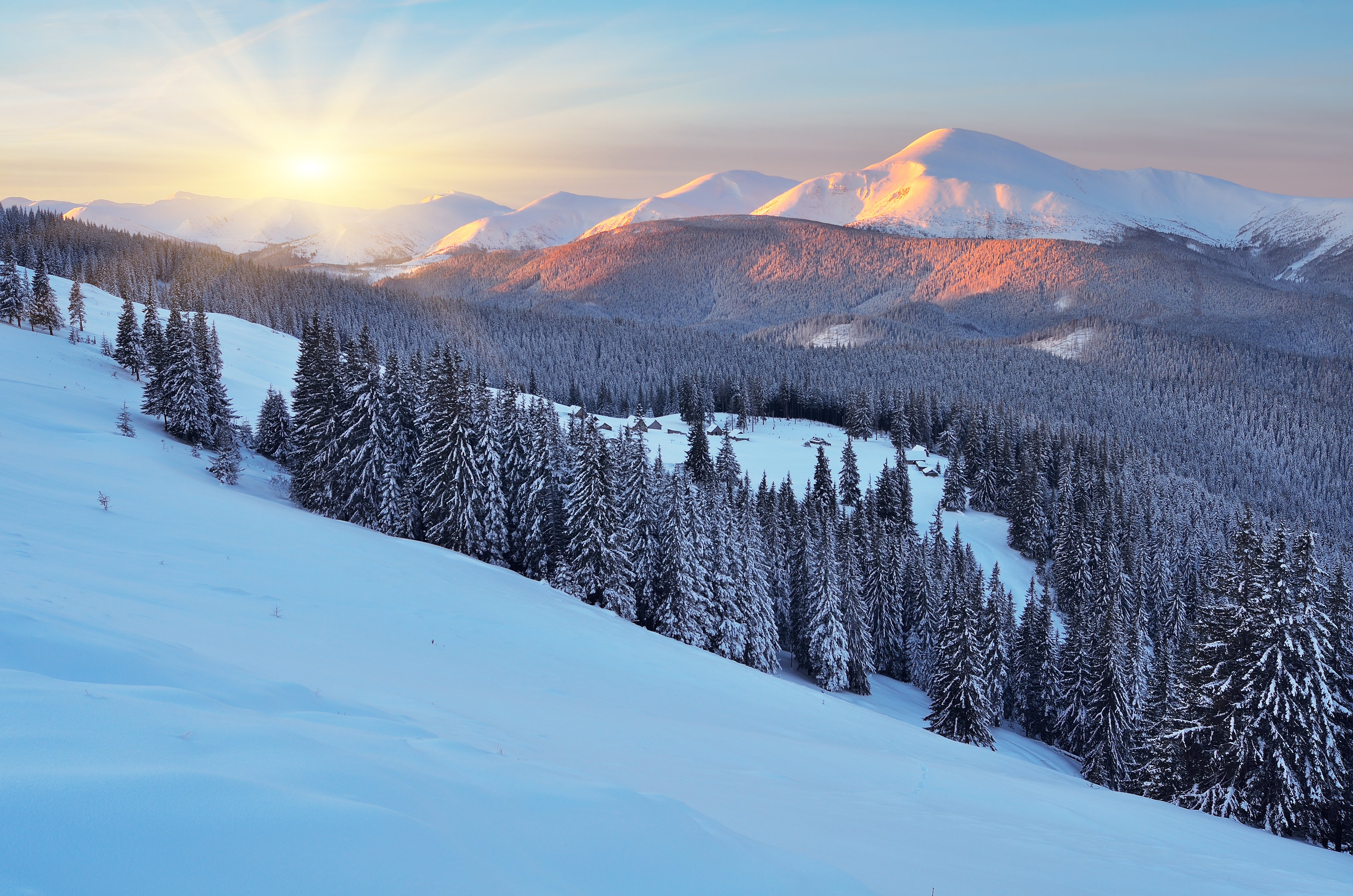Скачать картинку Зима, Природа, Снег, Гора, Лес, Дерево, Ландшафт, Земля/природа в телефон бесплатно.