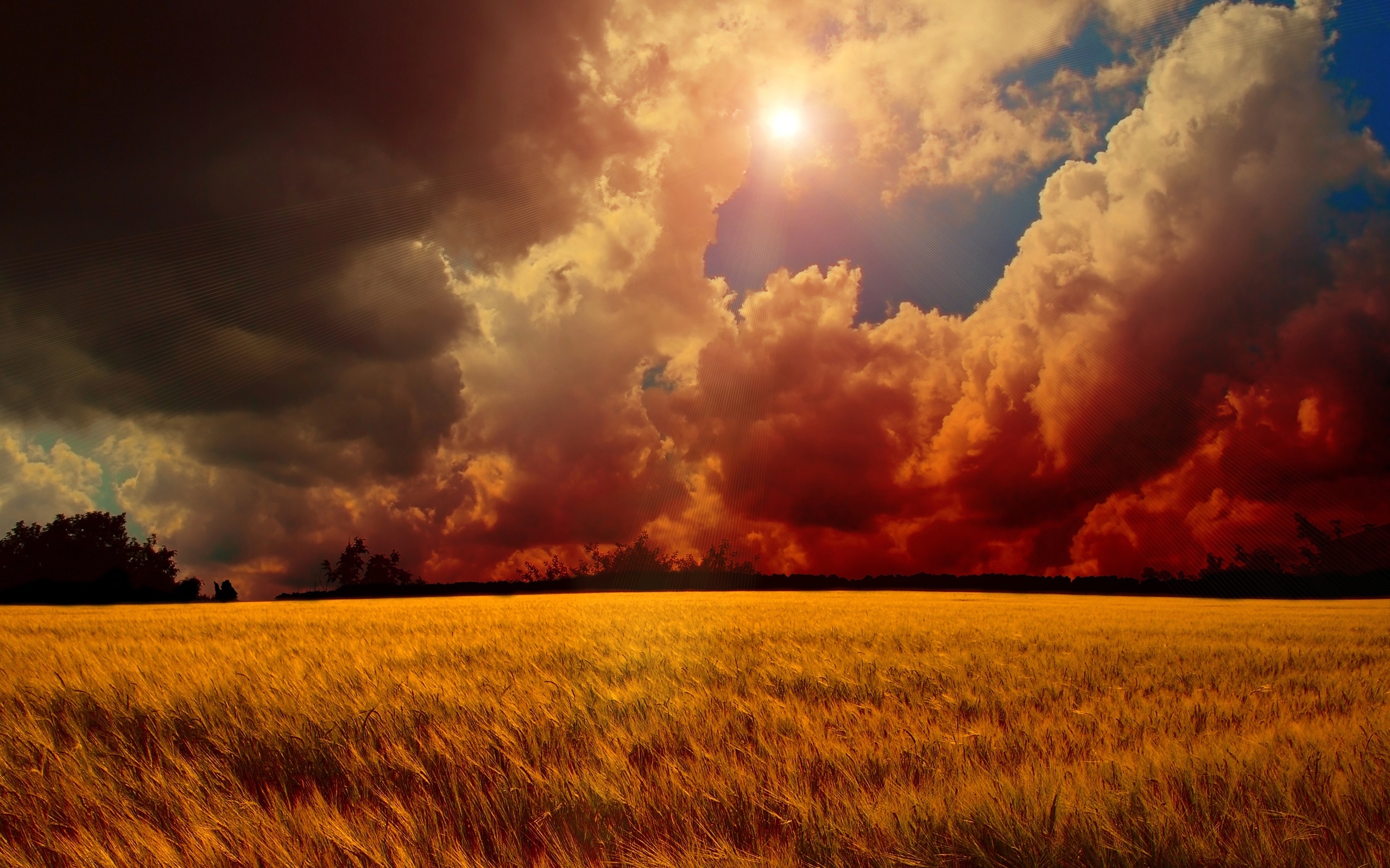 Free download wallpaper Landscape, Sky, Sun, Clouds, Fields on your PC desktop