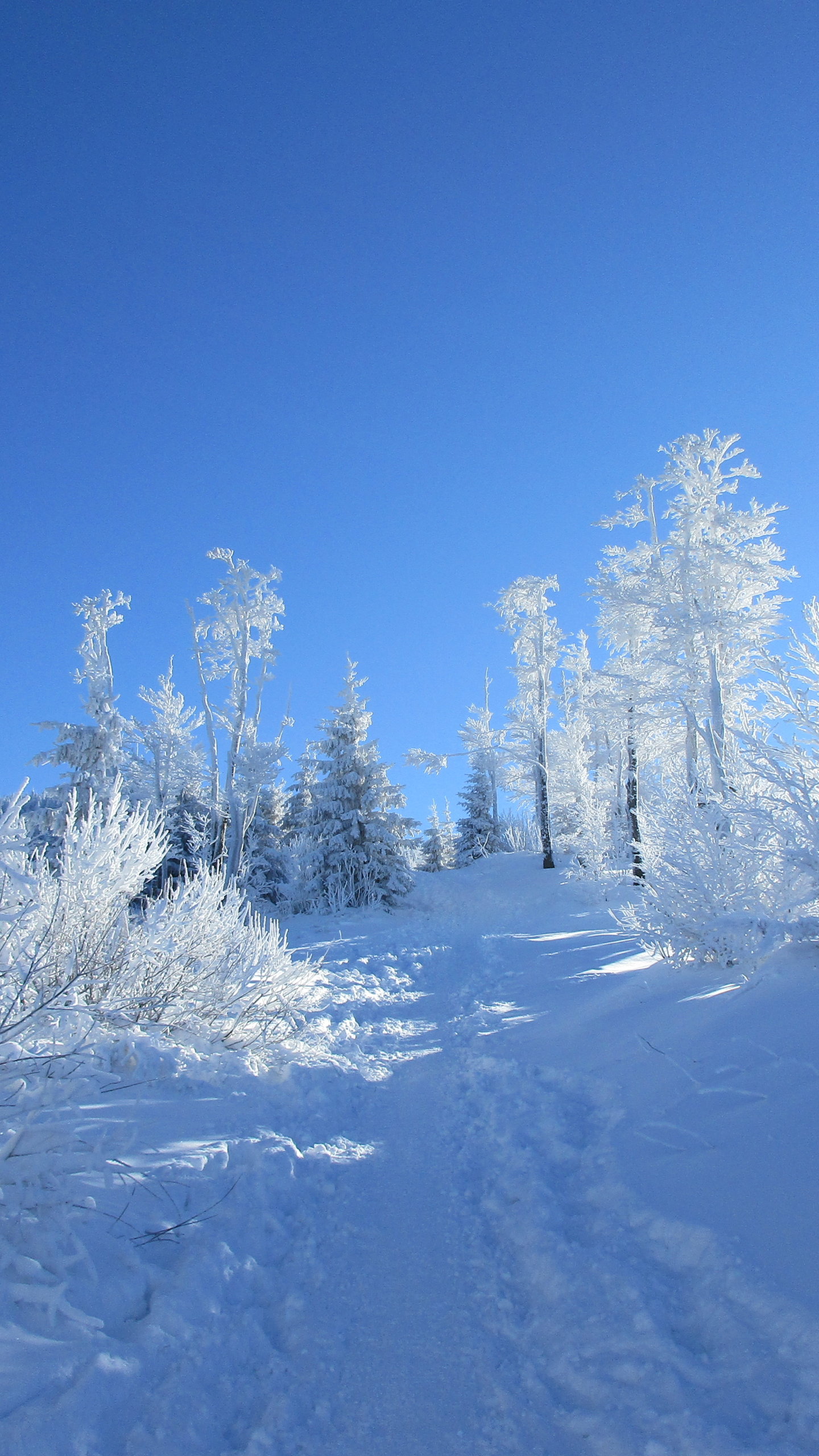 Téléchargez des papiers peints mobile Hiver, Terre/nature gratuitement.