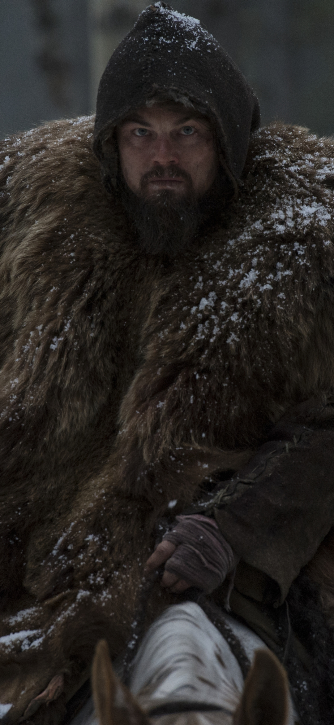 Download mobile wallpaper Leonardo Dicaprio, Movie, The Revenant for free.