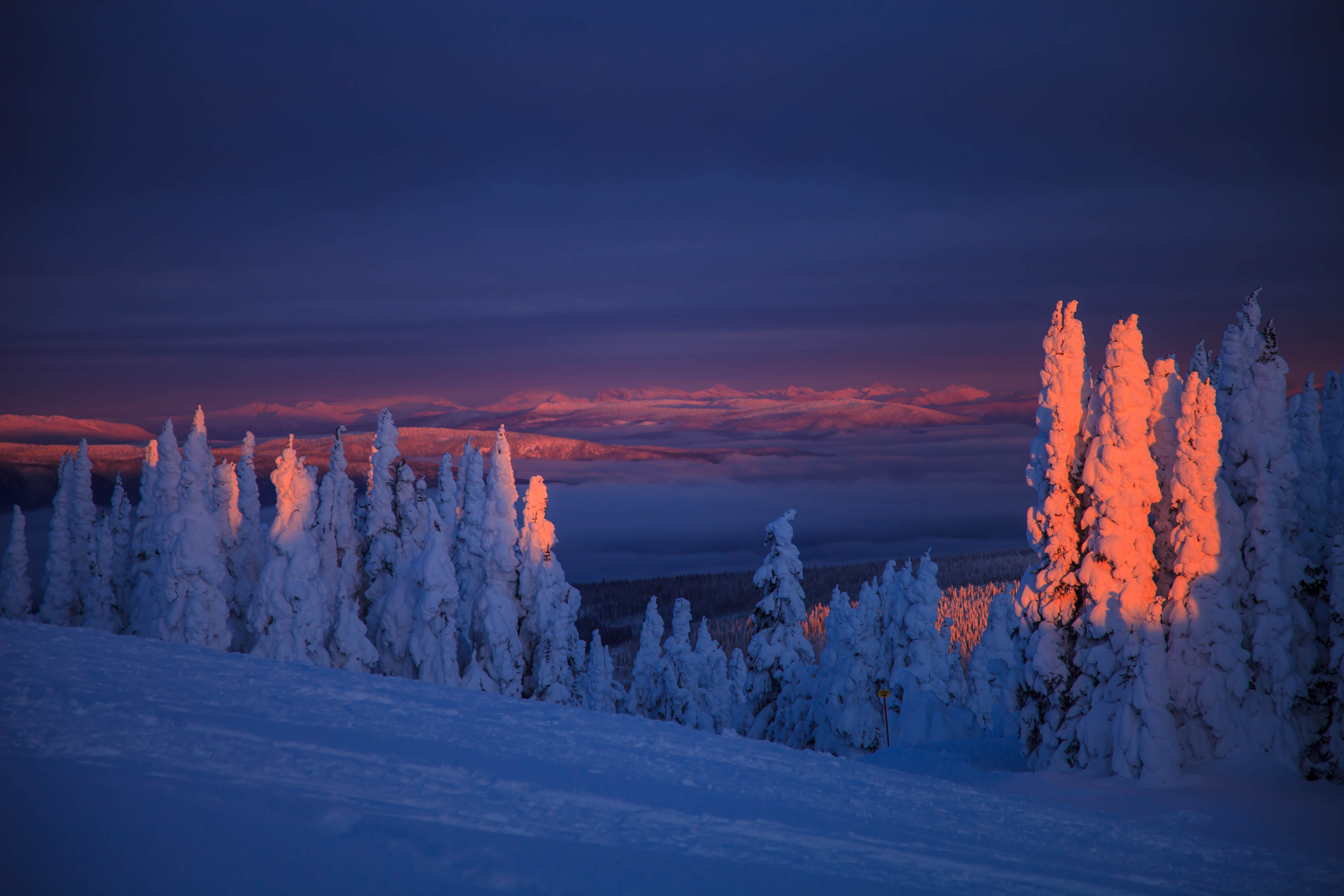 winter, snow, landscape, nature, trees, twilight, dusk, snow covered, snowbound 32K
