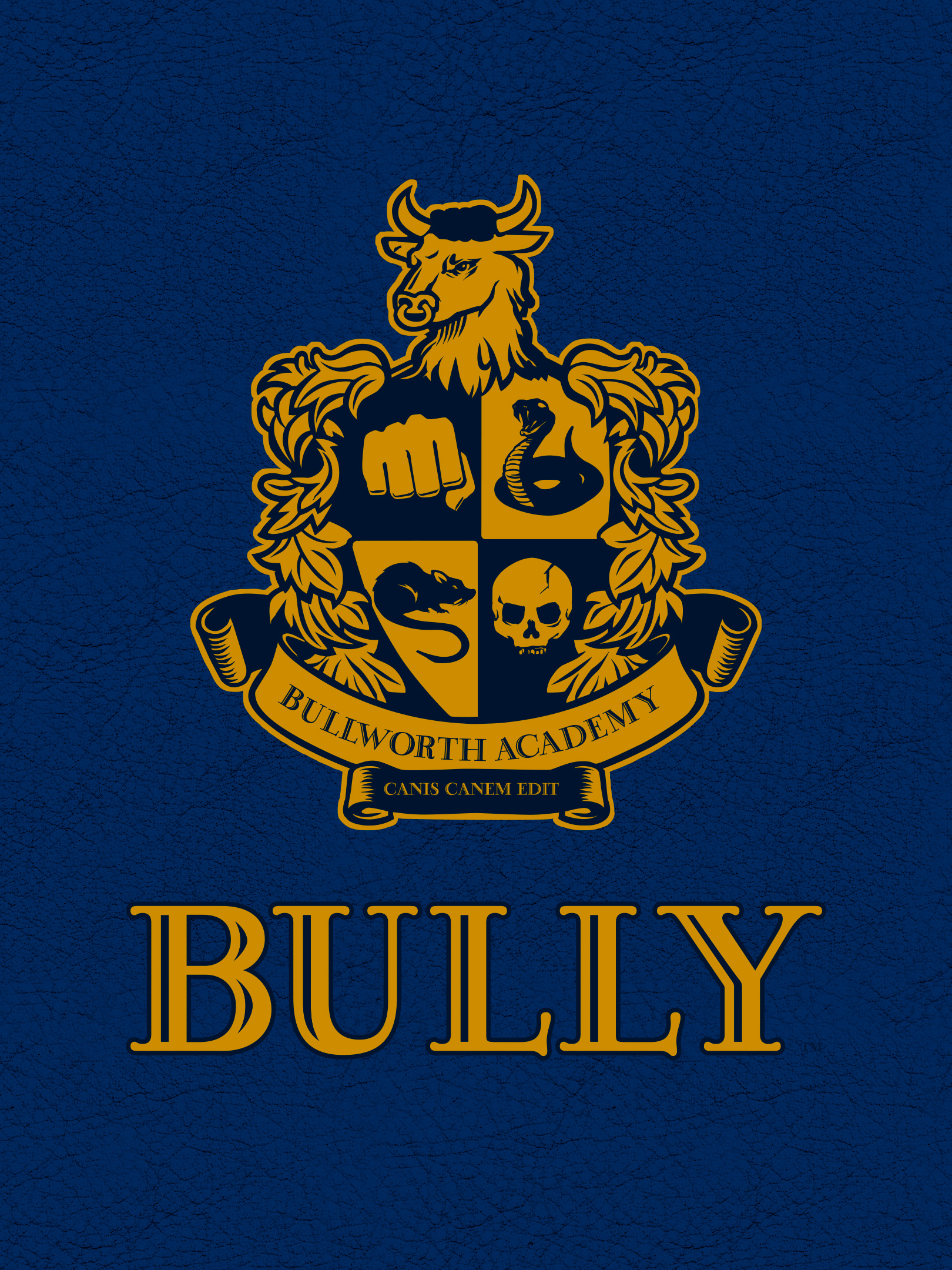 bully (video game), video game, bully