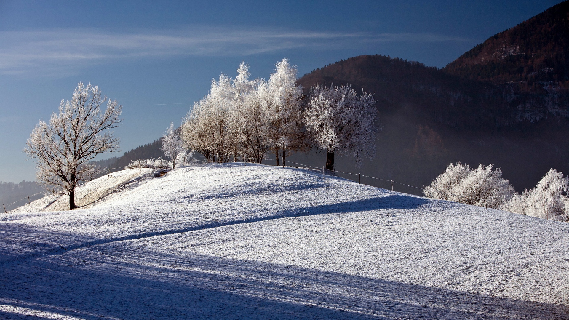 Téléchargez gratuitement l'image Hiver, Terre/nature sur le bureau de votre PC