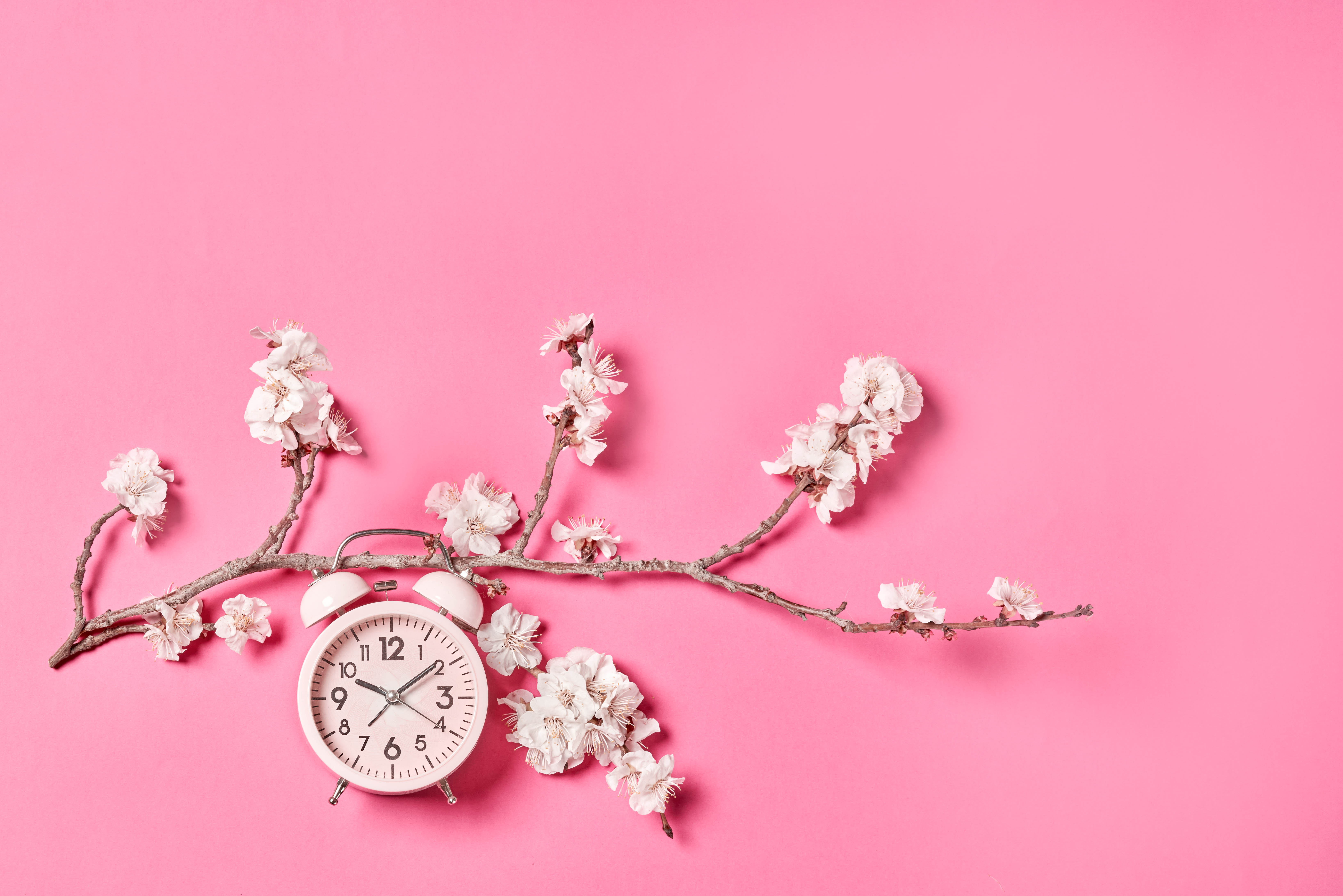125239 завантажити картинку годинники, мінімалізм, квіти, сакура, рожевий, будильник - шпалери і заставки безкоштовно