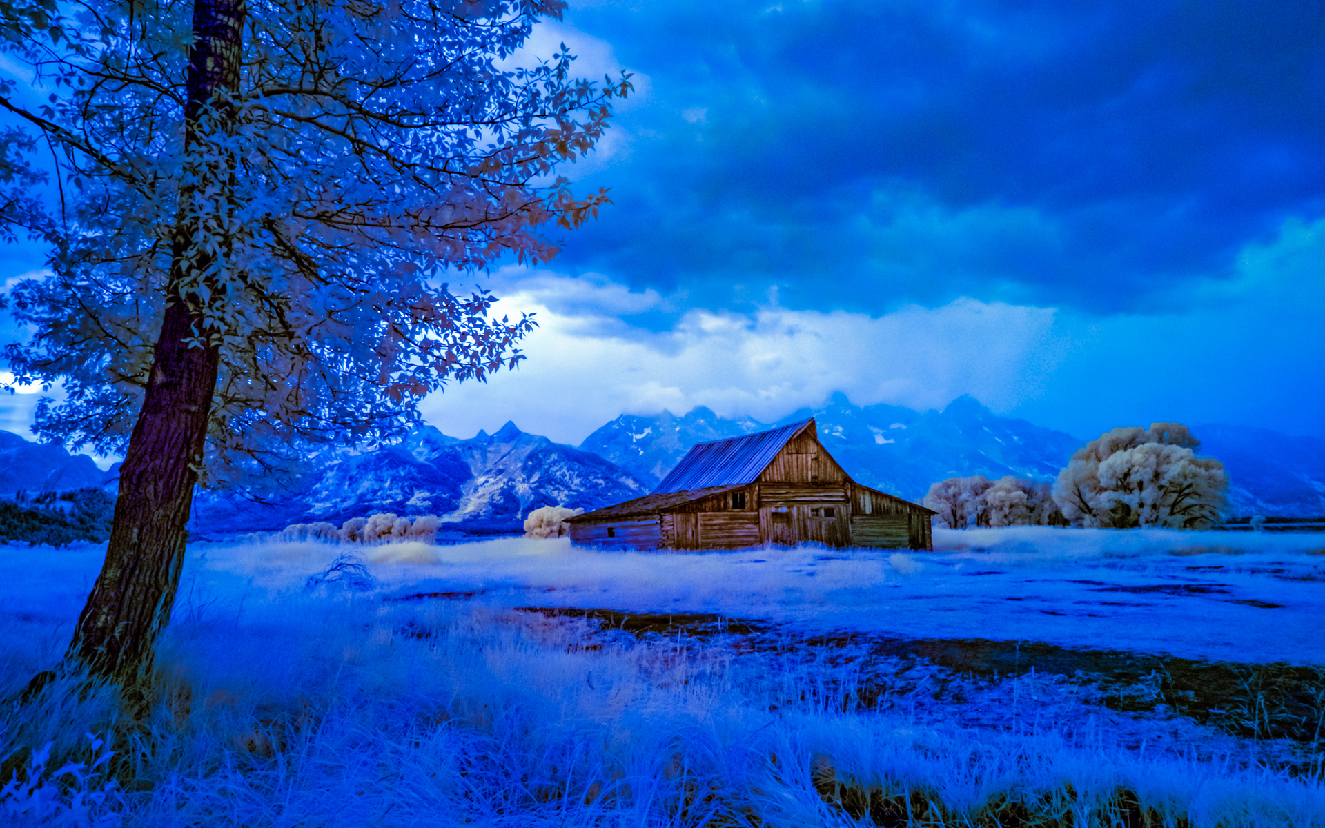 PCデスクトップに冬, 木, 雪, 納屋, マンメイド画像を無料でダウンロード