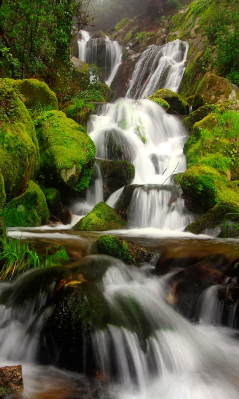 Download mobile wallpaper Waterfalls, Waterfall, Forest, Earth for free.