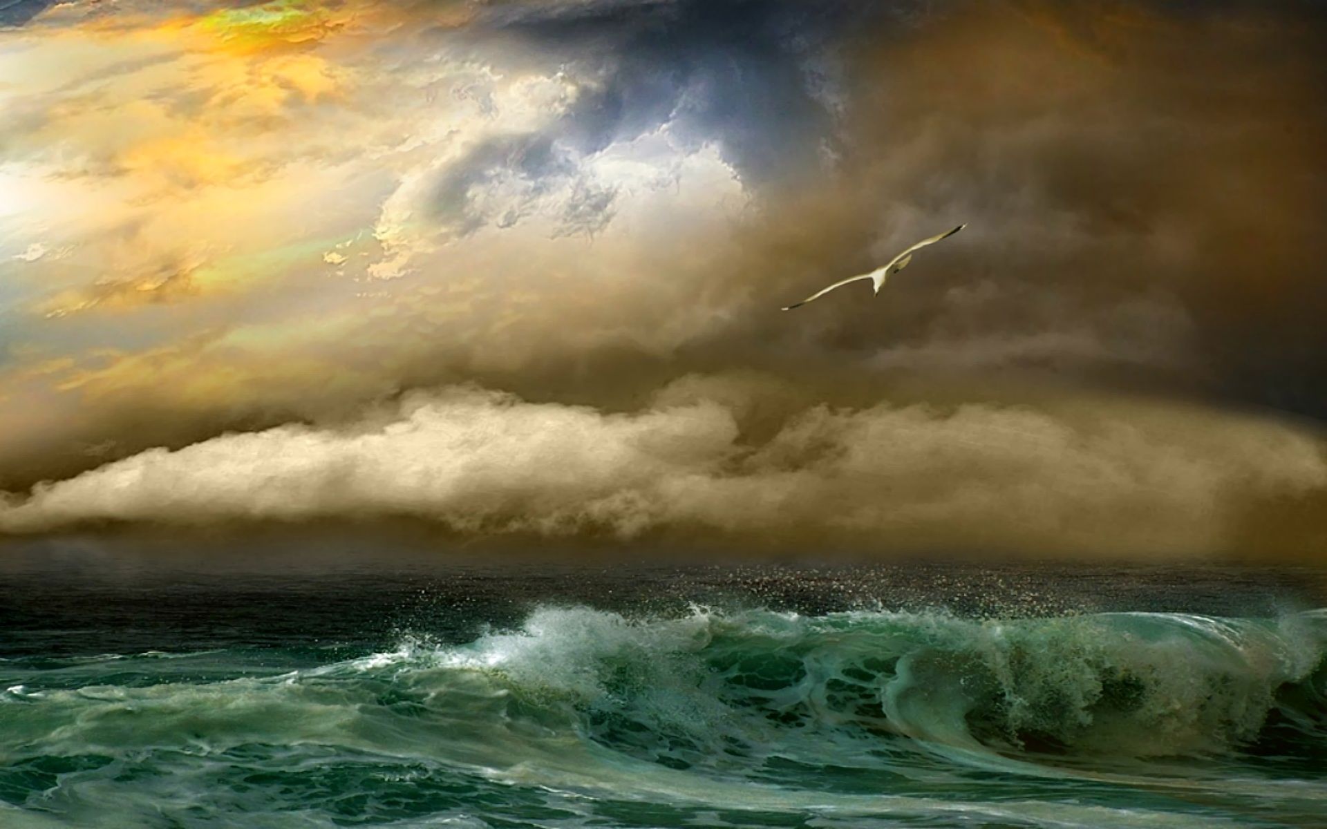 Скачать обои бесплатно Небо, Море, Чайки, Облака, Океан, Волна, Земля/природа картинка на рабочий стол ПК
