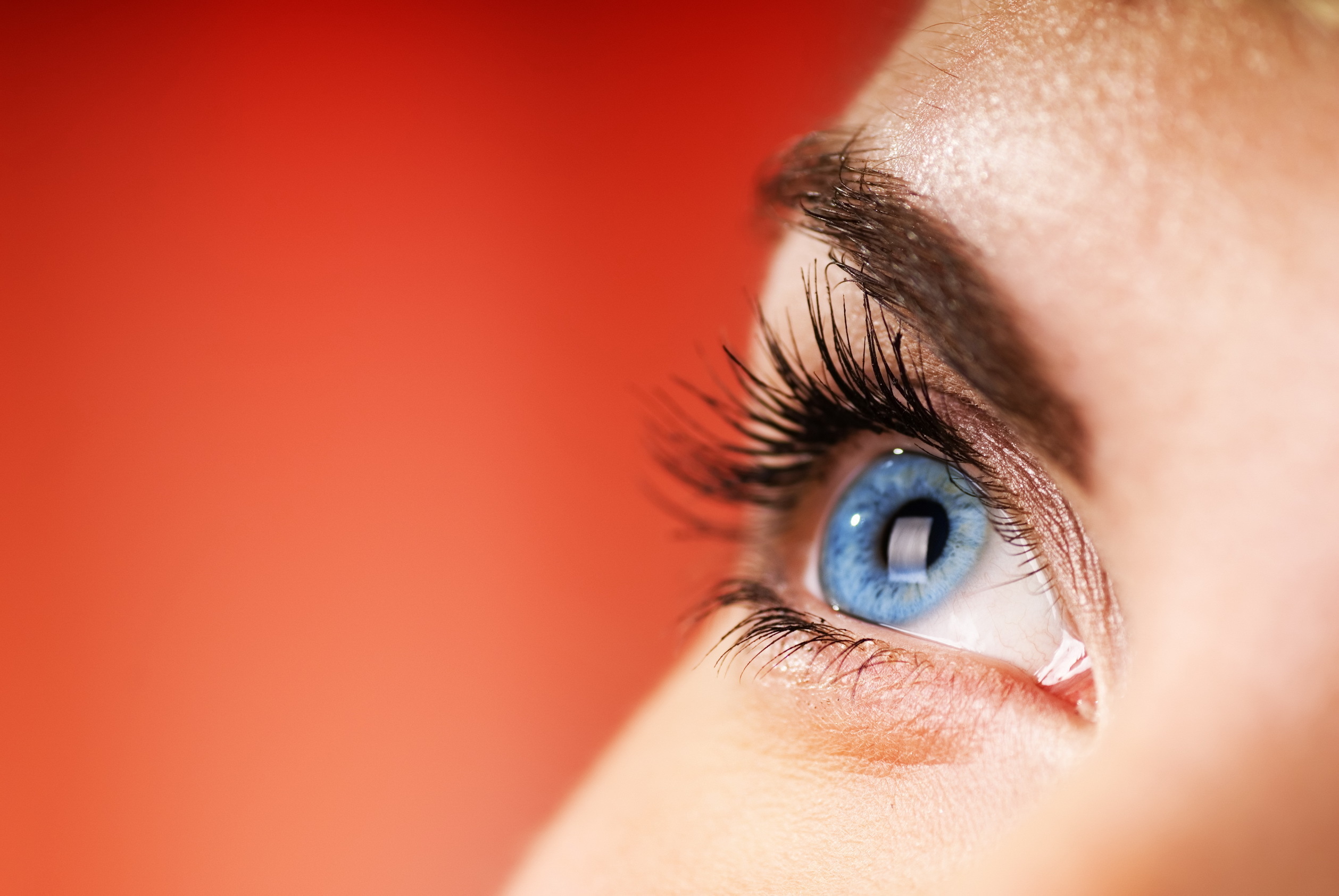 Téléchargez gratuitement l'image Fermer, Yeux Bleus, Oeil, Femmes sur le bureau de votre PC