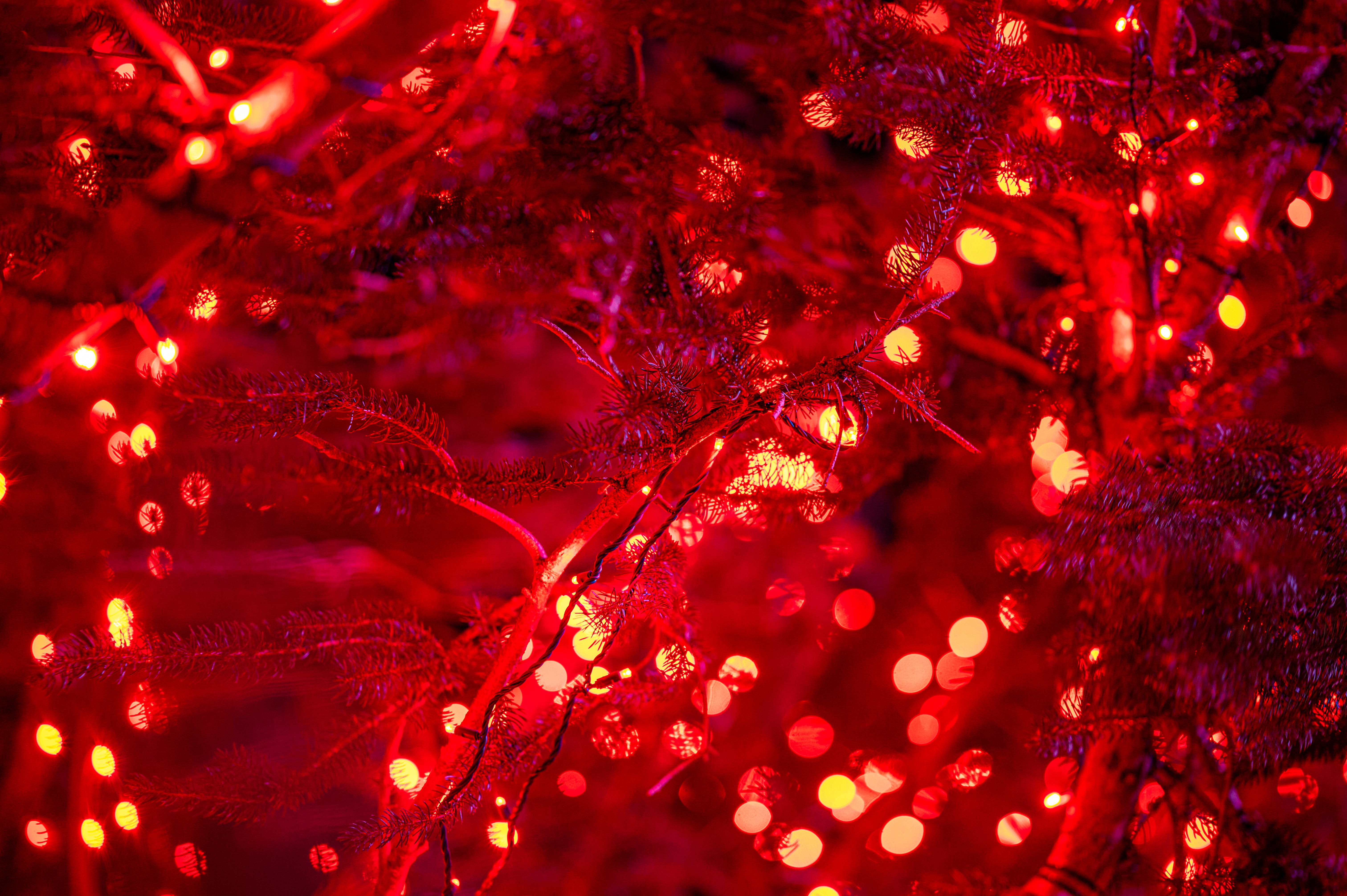 Free download wallpaper New Year, Lights, Holiday, Holidays, Christmas, Garland, Glow on your PC desktop
