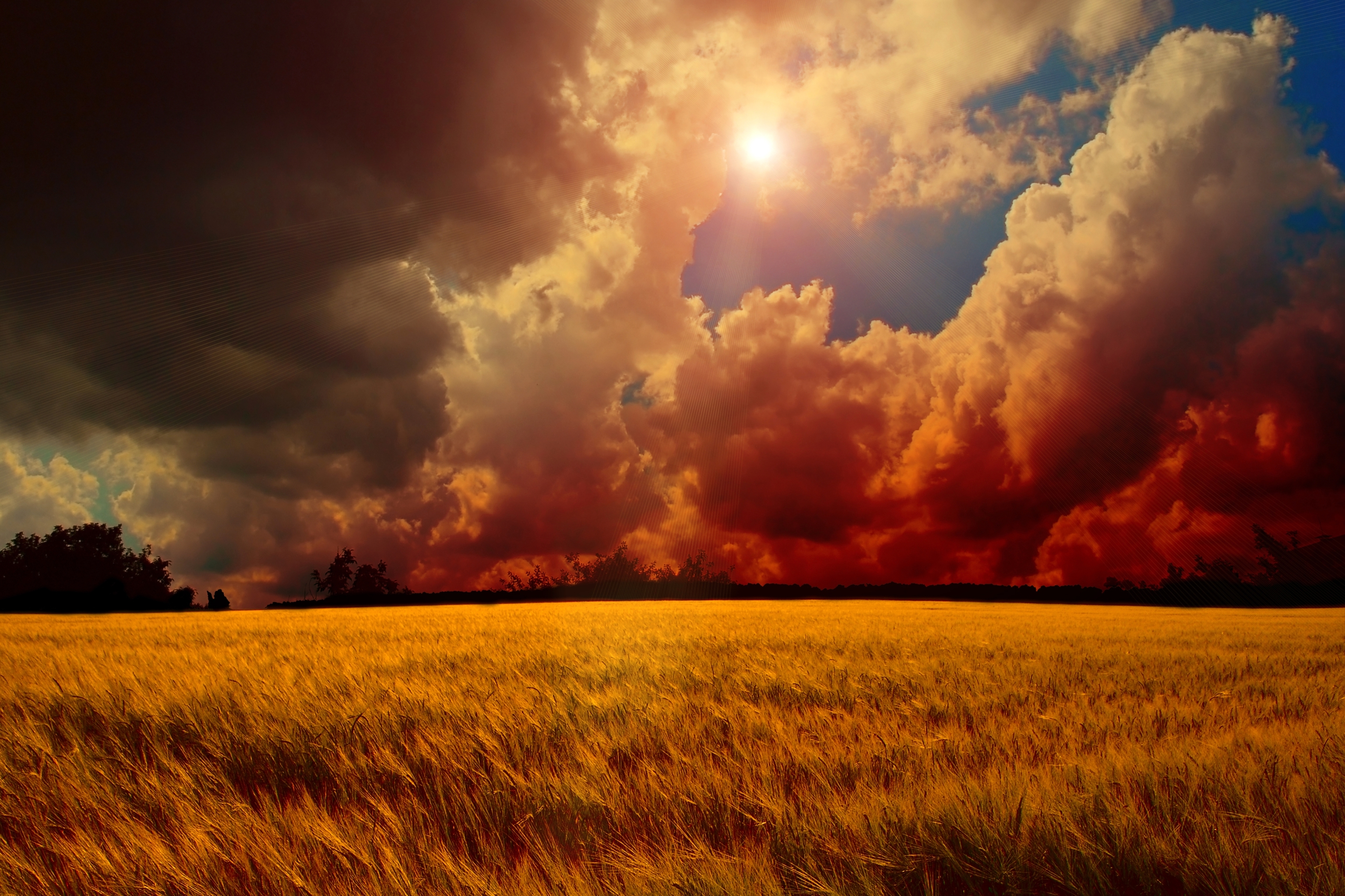 Free download wallpaper Landscape, Sky, Sun, Wheat, Earth, Field, Cloud, Manipulation on your PC desktop