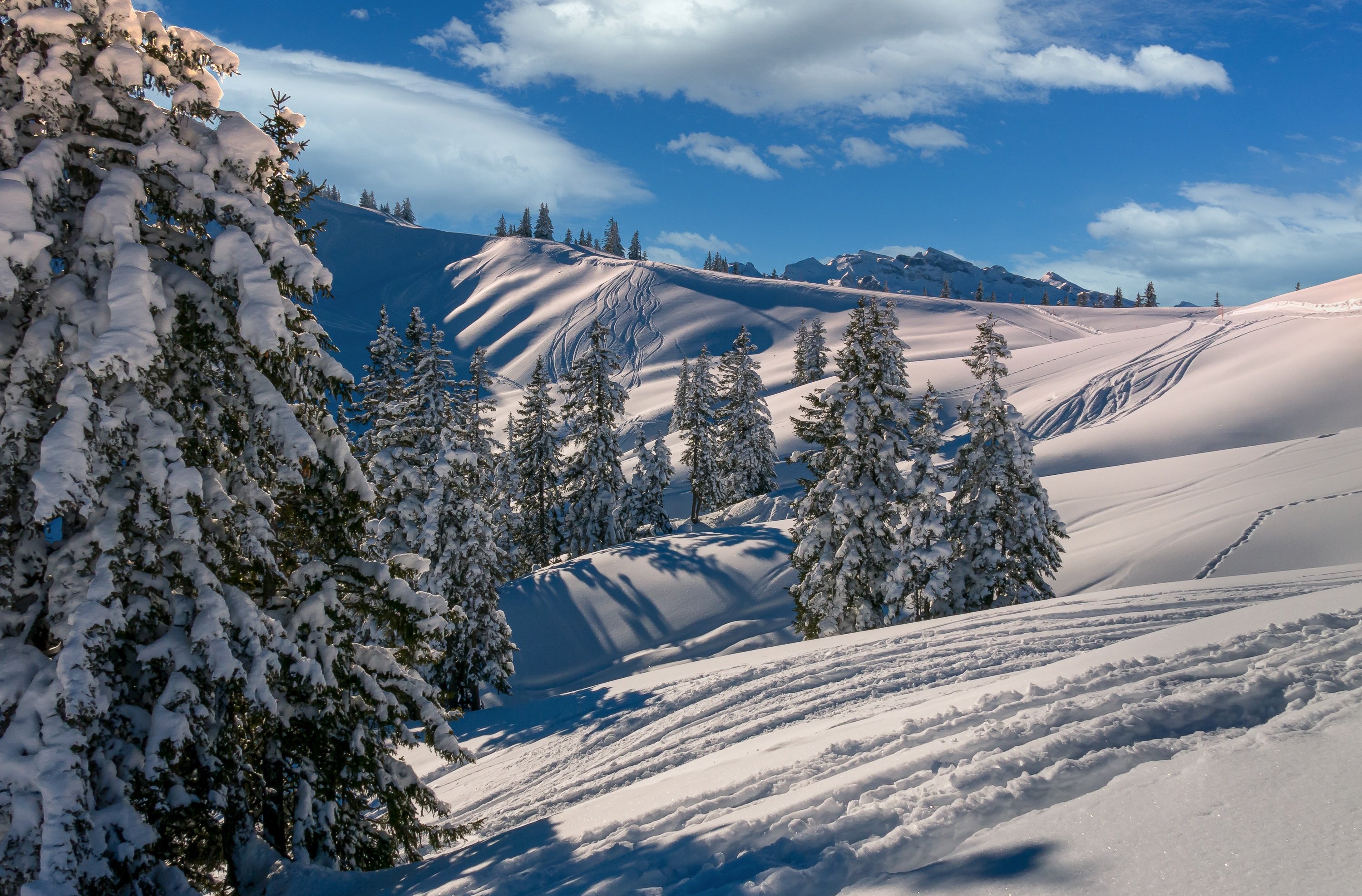 1002775 скачать картинку лыжи, земля/природа, зима, облака, ель, гора, снег - обои и заставки бесплатно