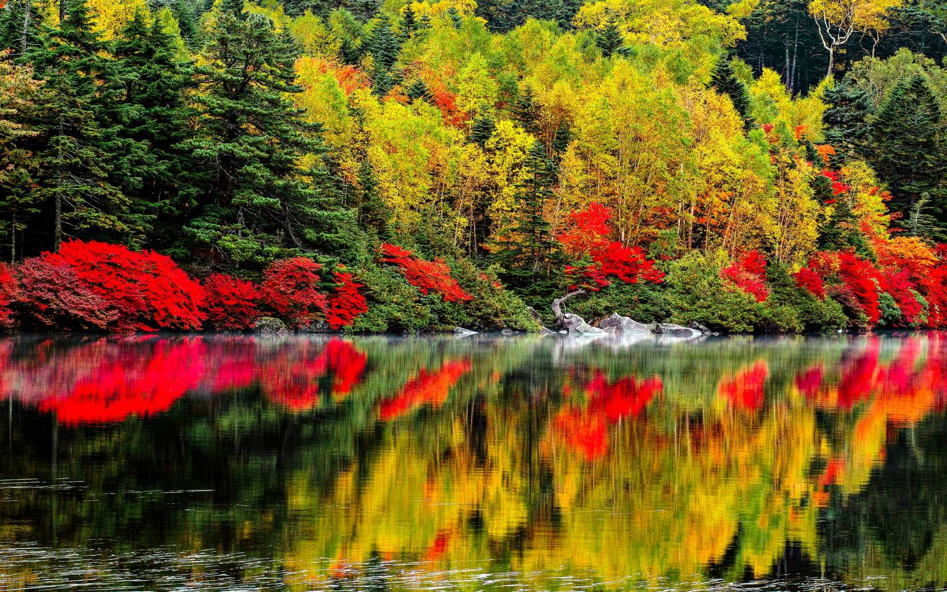 Laden Sie das Erde/natur, Spiegelung-Bild kostenlos auf Ihren PC-Desktop herunter