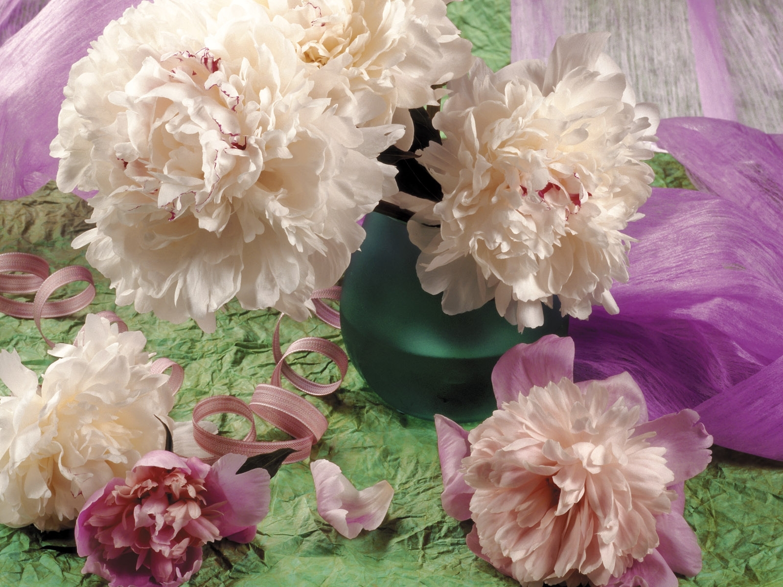 Завантажити шпалери безкоштовно Квіти, Рослини, Хризантеми картинка на робочий стіл ПК