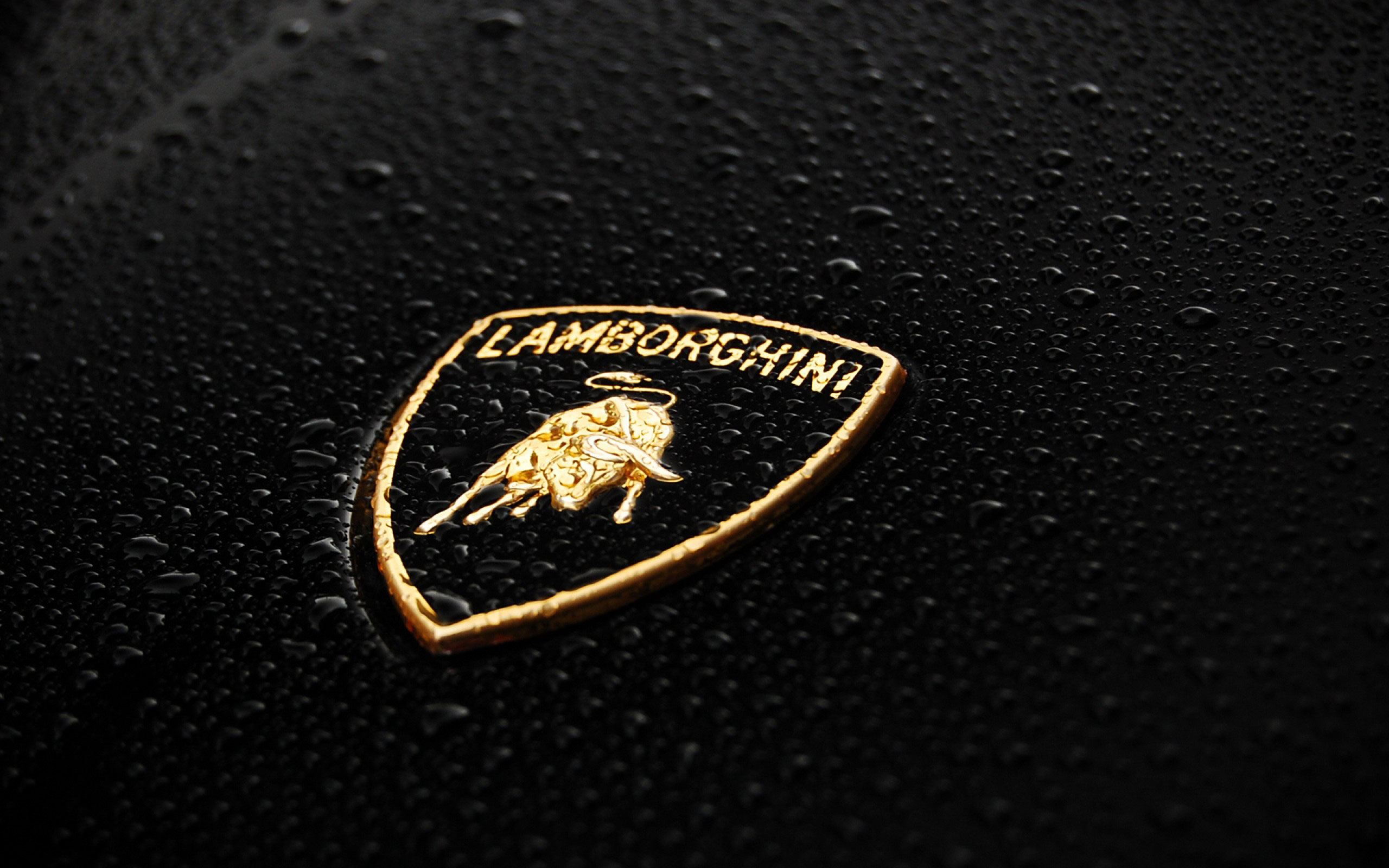 Baixe gratuitamente a imagem Lamborghini, Veículos na área de trabalho do seu PC