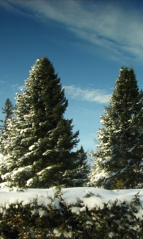 Téléchargez des papiers peints mobile Hiver, Terre/nature gratuitement.