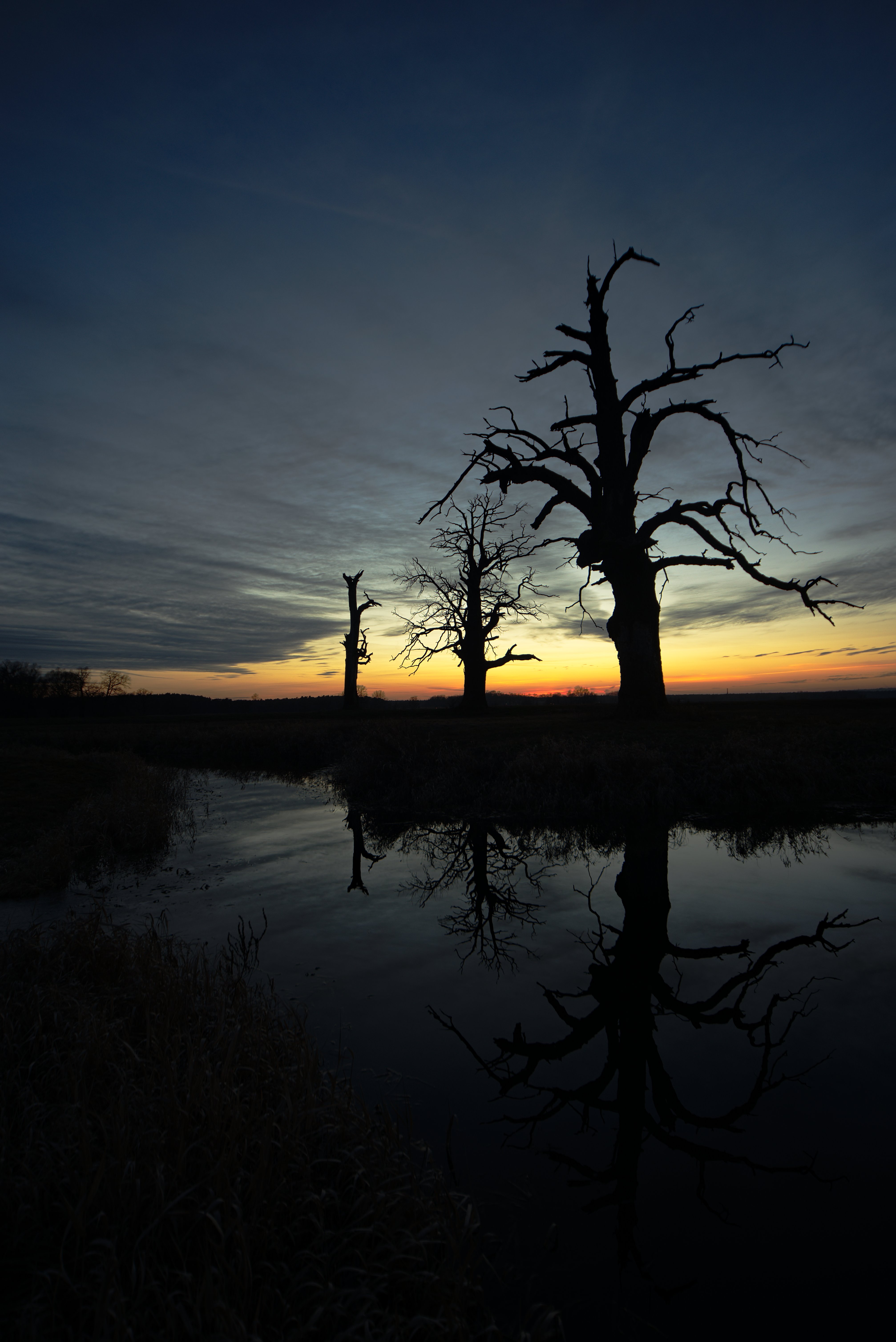 Free download wallpaper Trees, Sunset, Reflection, Nature, Silhouette on your PC desktop
