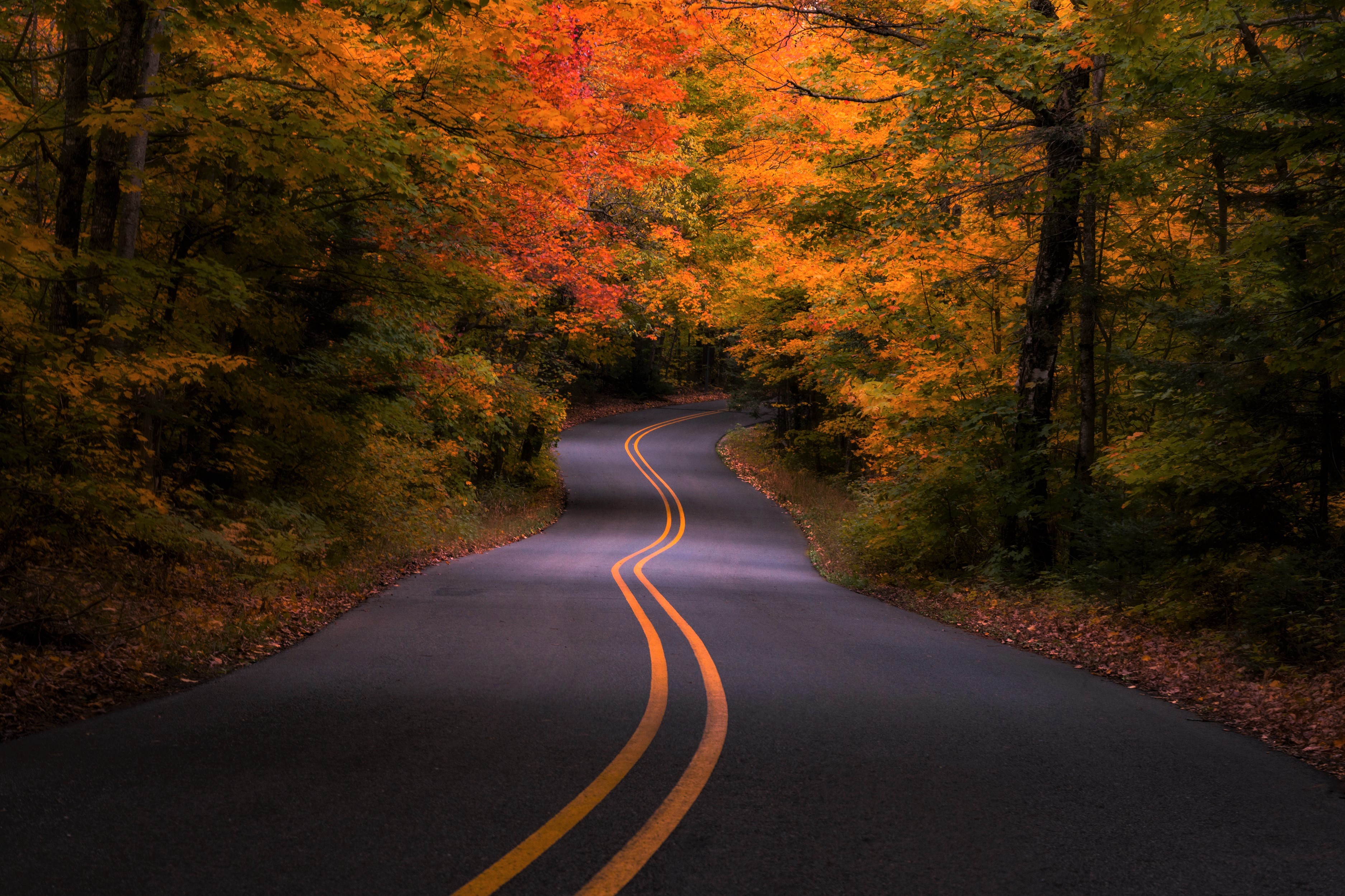 Free download wallpaper Road, Forest, Fall, Colors, Man Made on your PC desktop