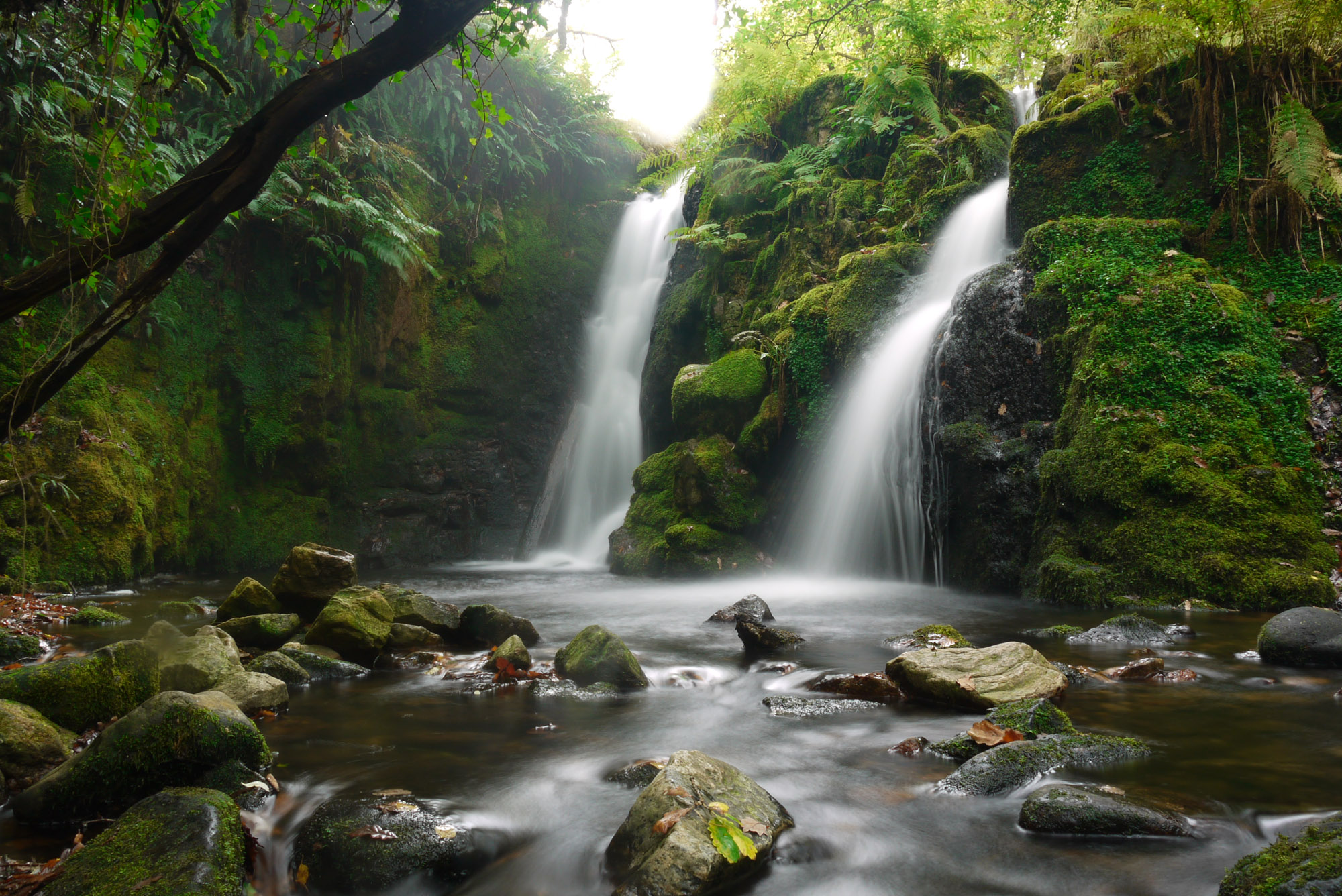 Скачать обои бесплатно Водопады, Водопад, Лес, Зеленый, Земля/природа картинка на рабочий стол ПК