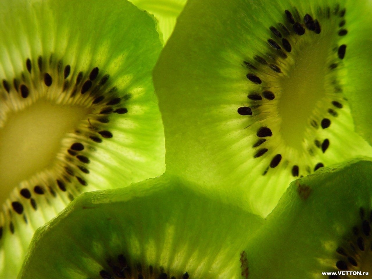 Download mobile wallpaper Kiwi, Food, Background, Fruits for free.