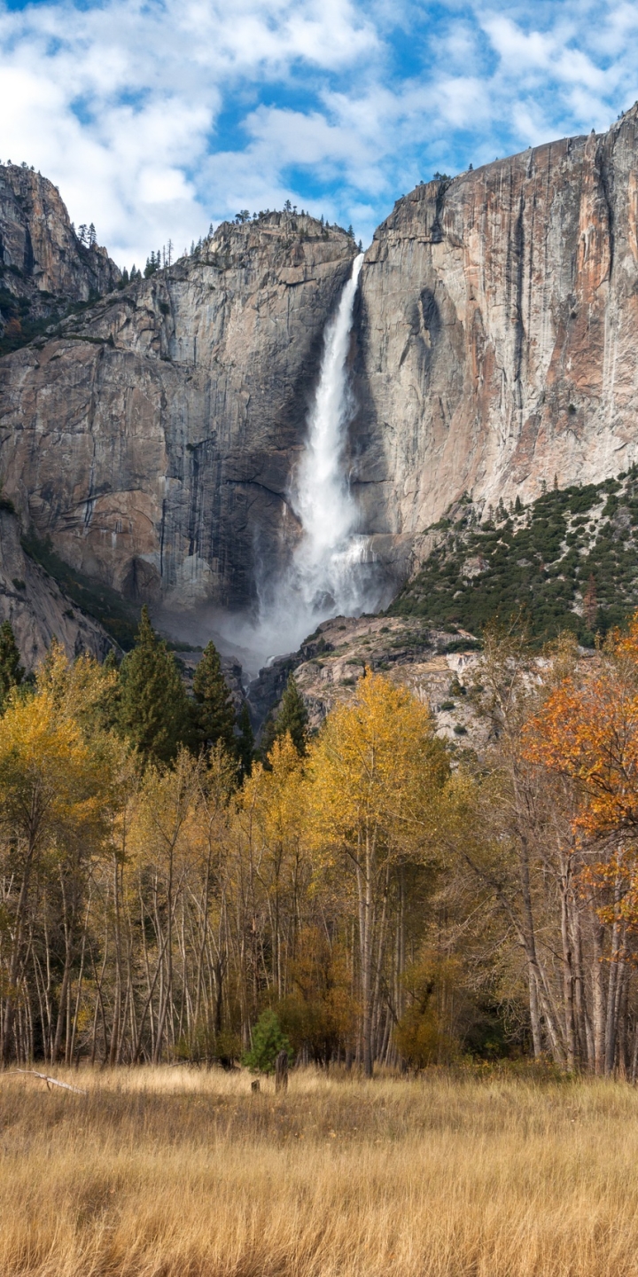 Handy-Wallpaper Natur, Wasserfälle, Wasserfall, Baum, Cliff, Klippe, Yosemite Nationalpark, Vereinigte Staaten Von Amerika, Erde/natur, Yosemite Falls kostenlos herunterladen.