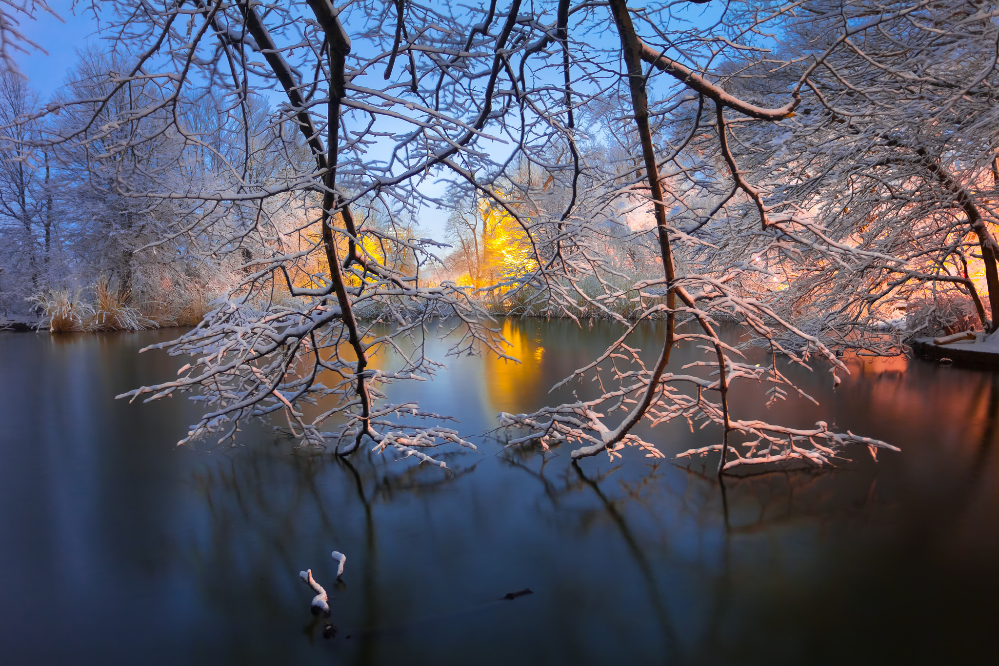 Descarga gratis la imagen Invierno, Nieve, Lago, Rama, Tierra/naturaleza, Frozen: El Reino Del Hielo en el escritorio de tu PC