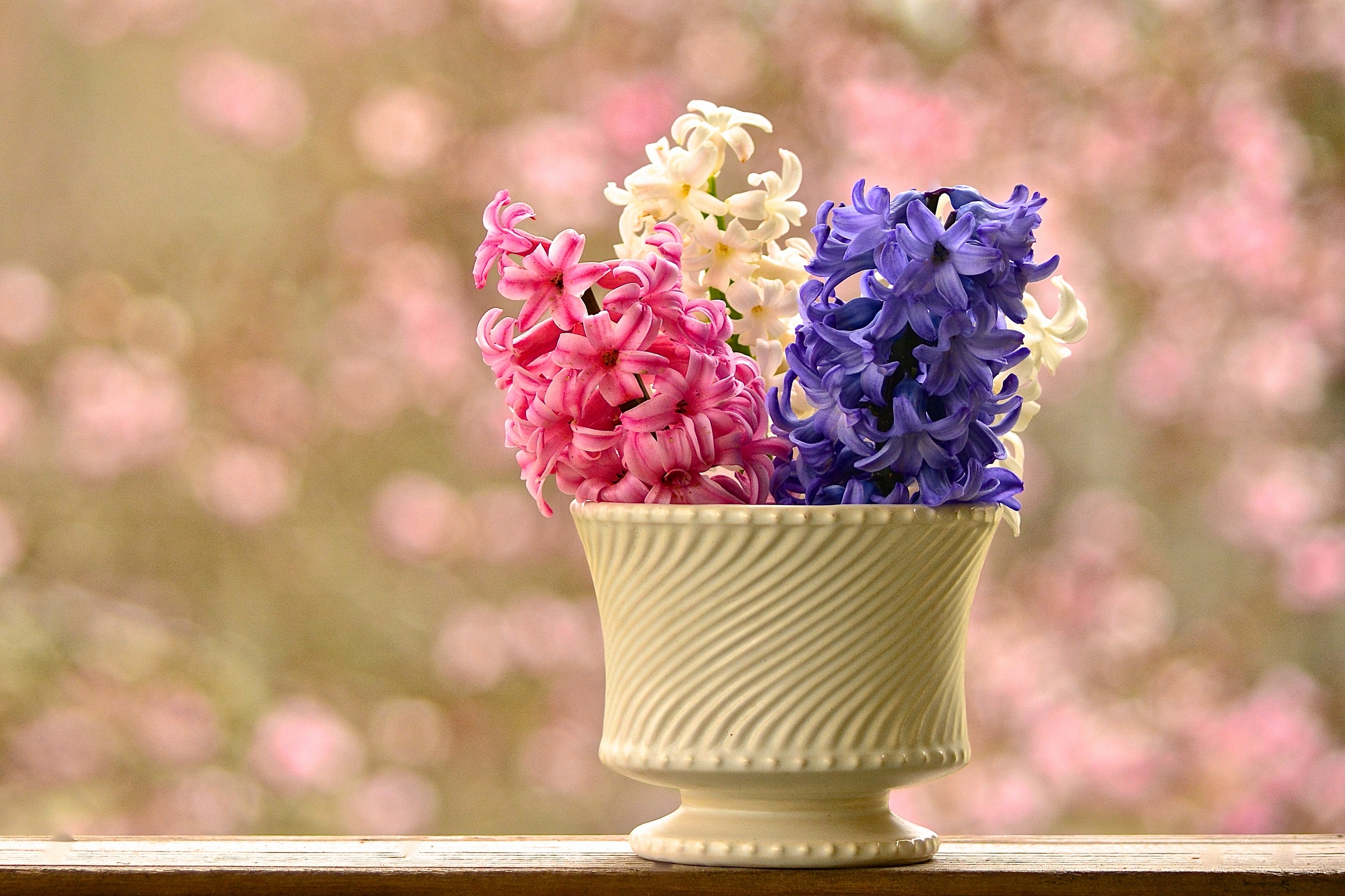 Handy-Wallpaper Blume, Vase, Hyazinthen, Weiße Blume, Lila Blume, Menschengemacht, Pinke Blume kostenlos herunterladen.