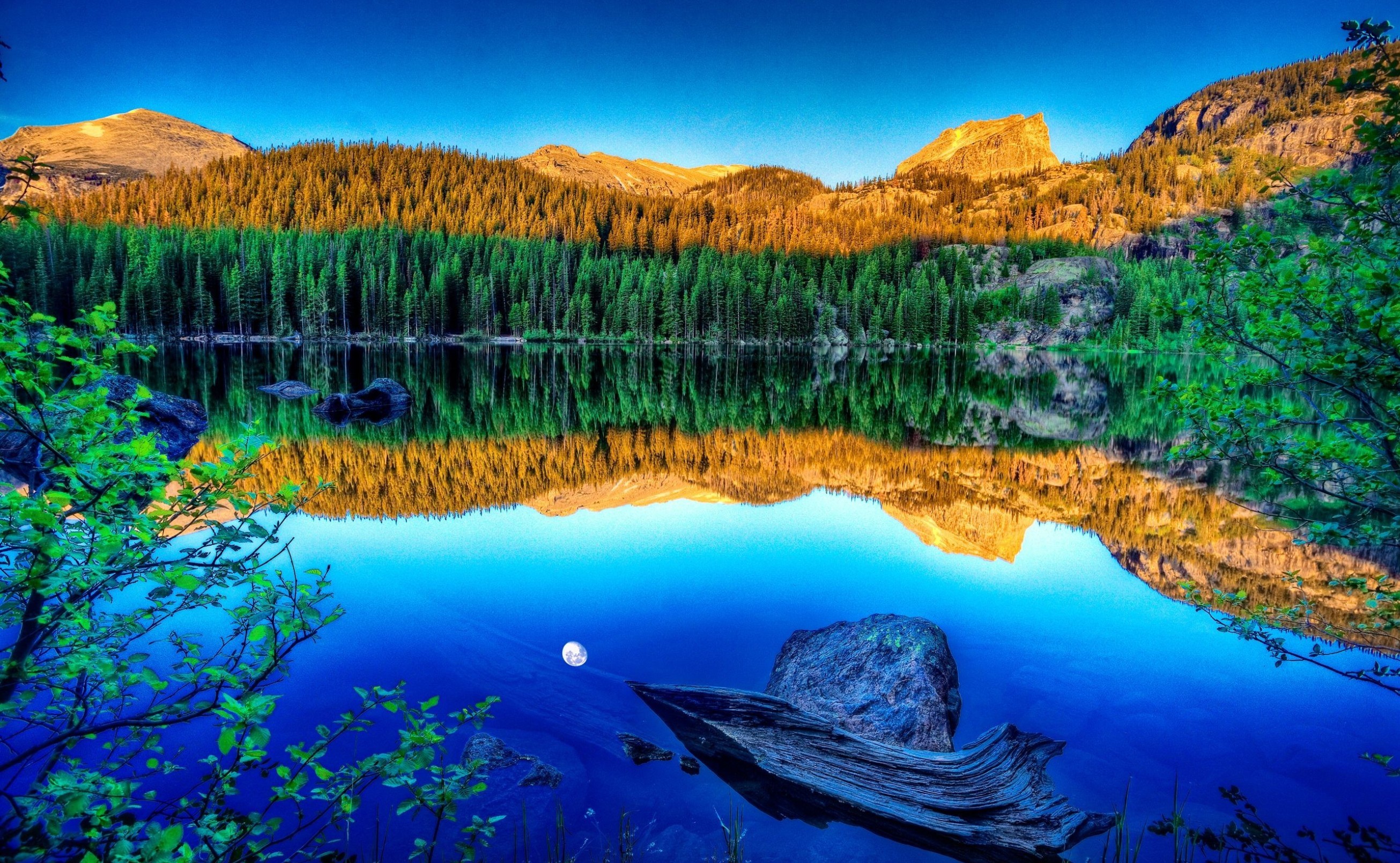 Laden Sie das Mond, Seen, See, Holz, Erde/natur, Spiegelung-Bild kostenlos auf Ihren PC-Desktop herunter