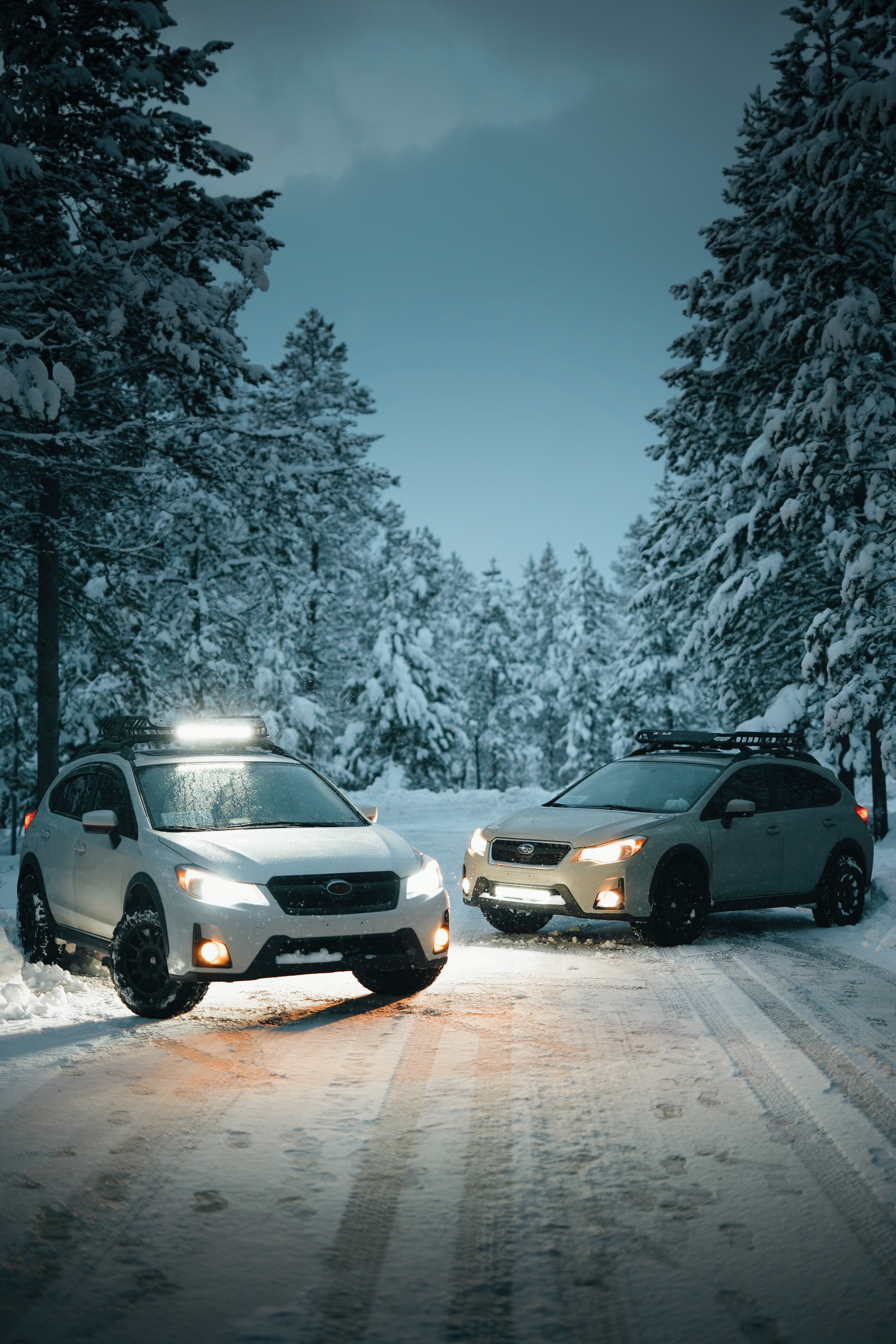 Baixe gratuitamente a imagem Automóveis, Inverno, Árvores, Neve, Carros na área de trabalho do seu PC