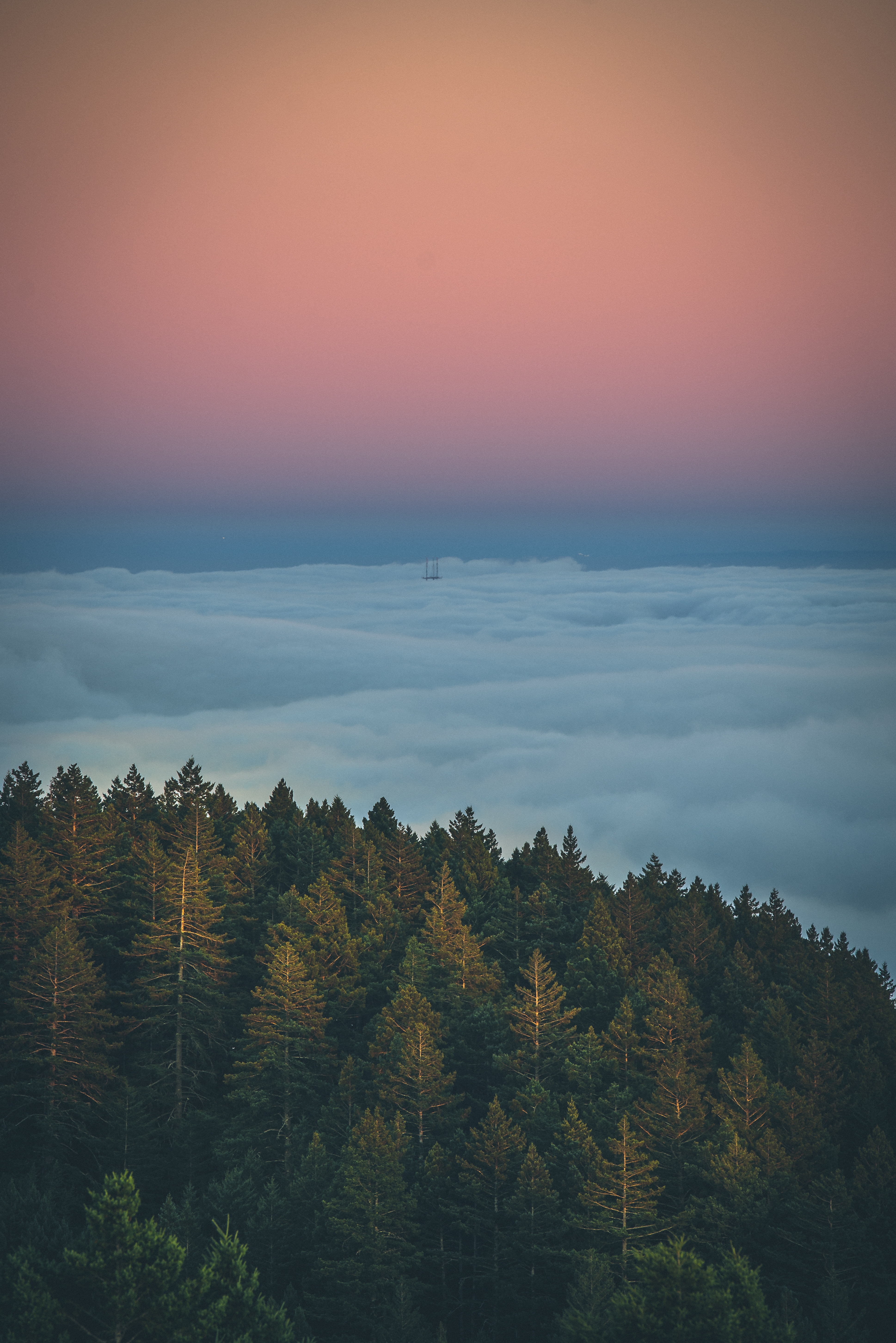 Laden Sie das Bäume, Nach Oben, Nebel, Oberteile, Natur, Clouds, Sky-Bild kostenlos auf Ihren PC-Desktop herunter