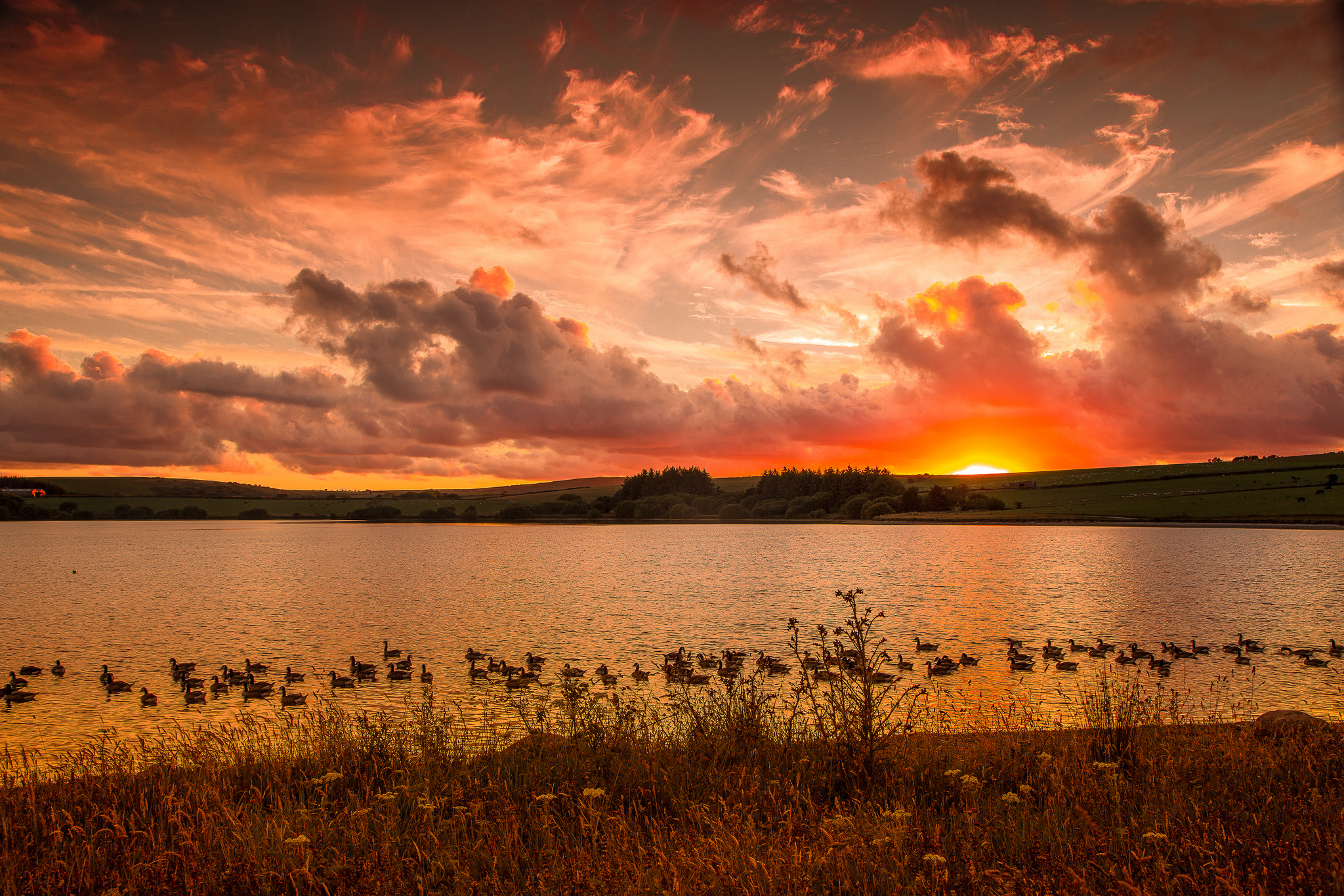 Download mobile wallpaper Lake, Sunrise, Earth for free.