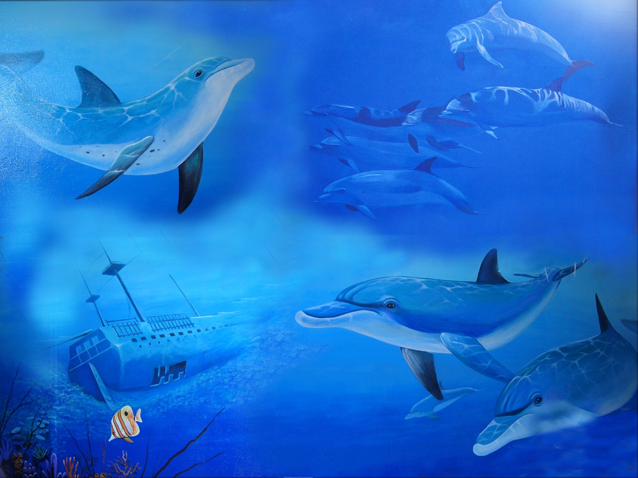Laden Sie das Tiere, Delfin, Unterwasser-Bild kostenlos auf Ihren PC-Desktop herunter
